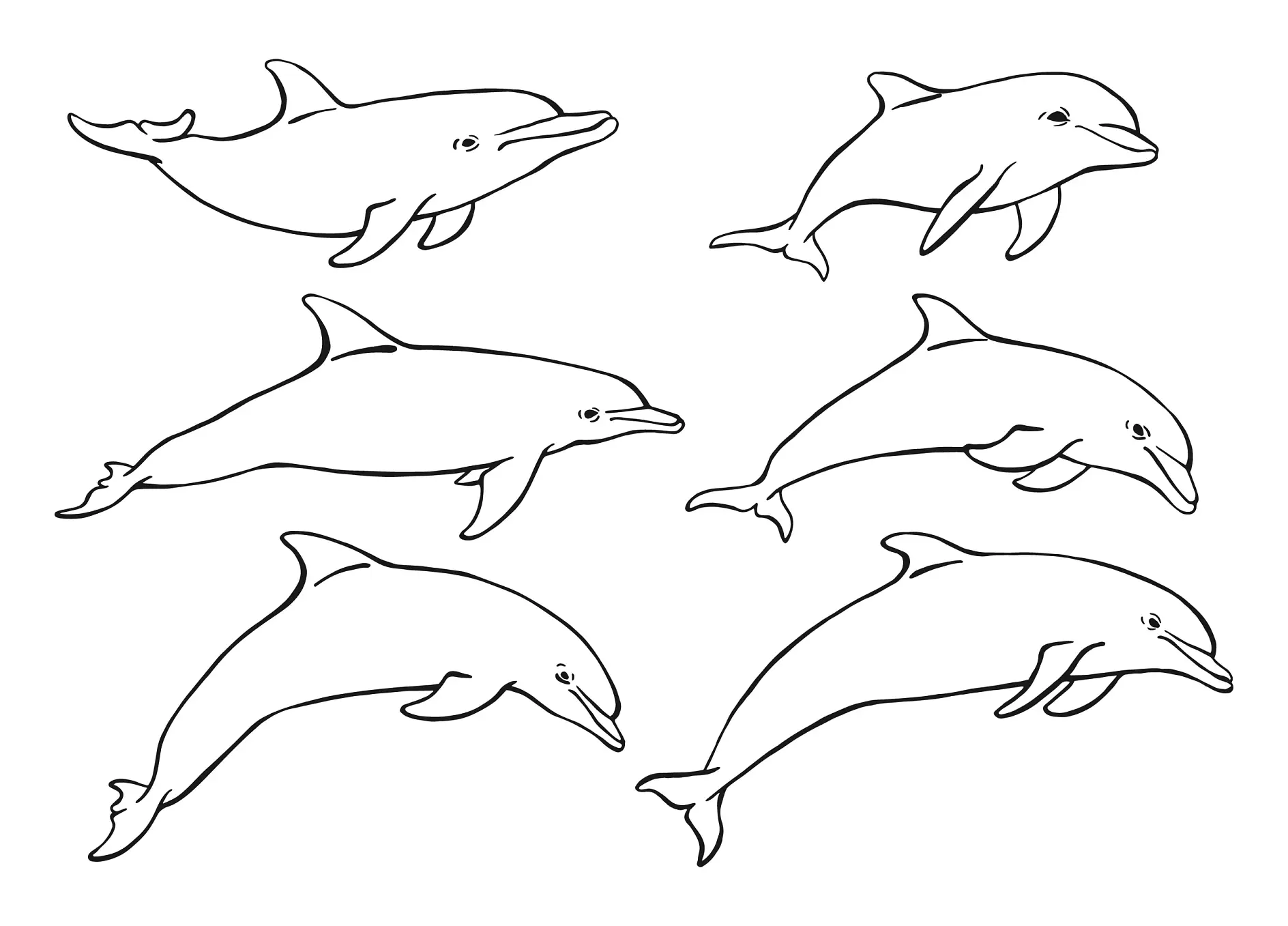 Ausmalbild sechs springende Delfine