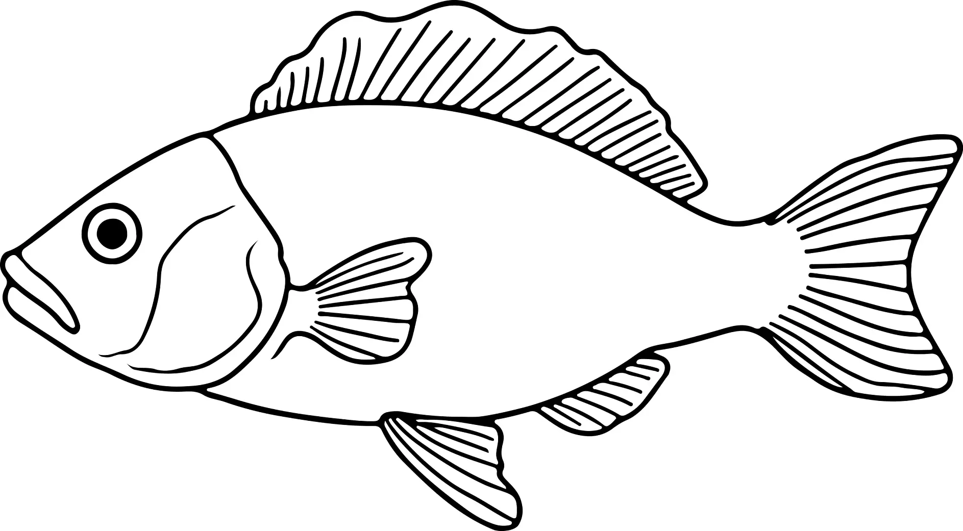 Ausmalbild Fisch mit Flossenprofil