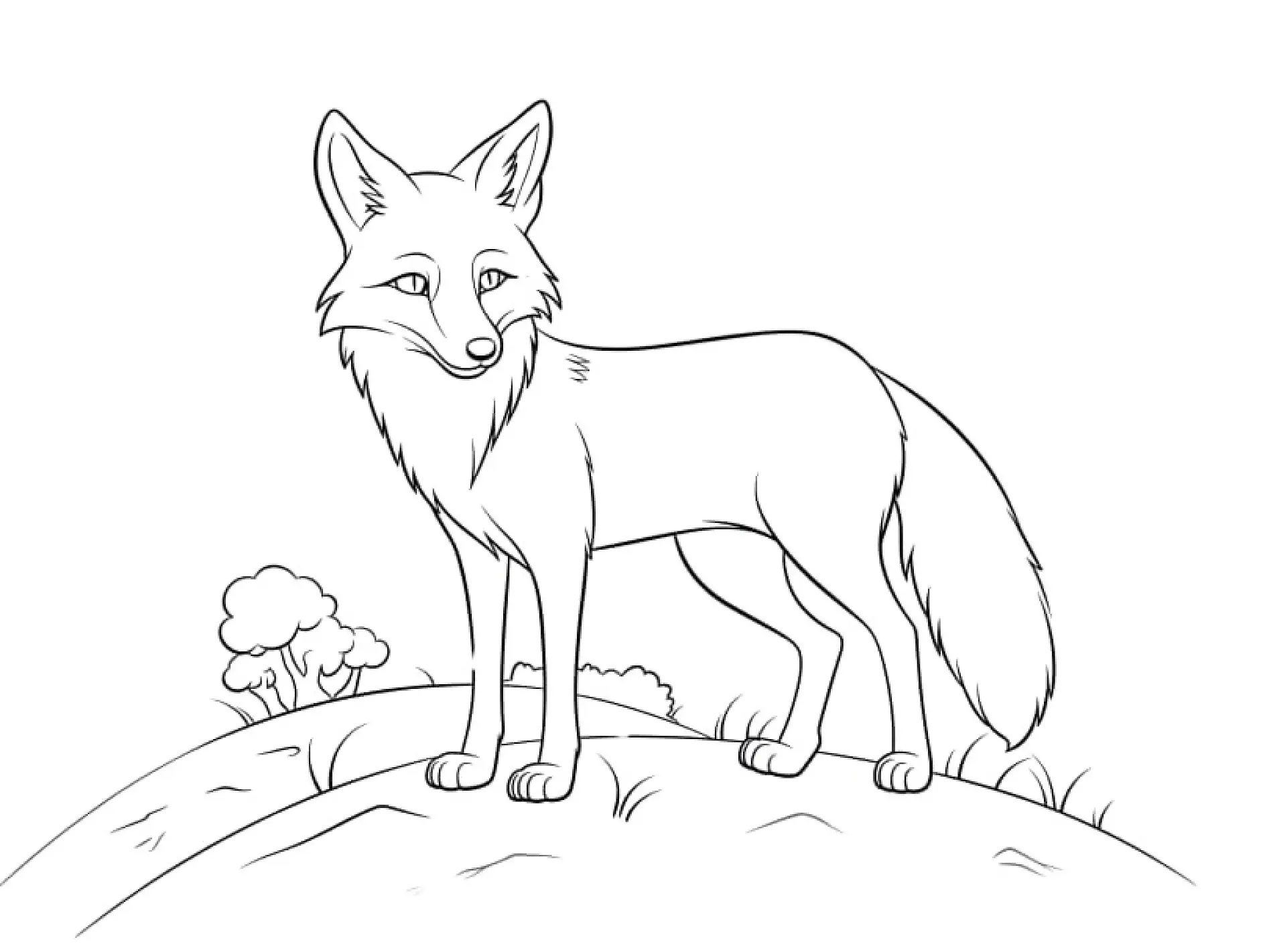 Ausmalbild Fuchs auf Hügel mit Büschen