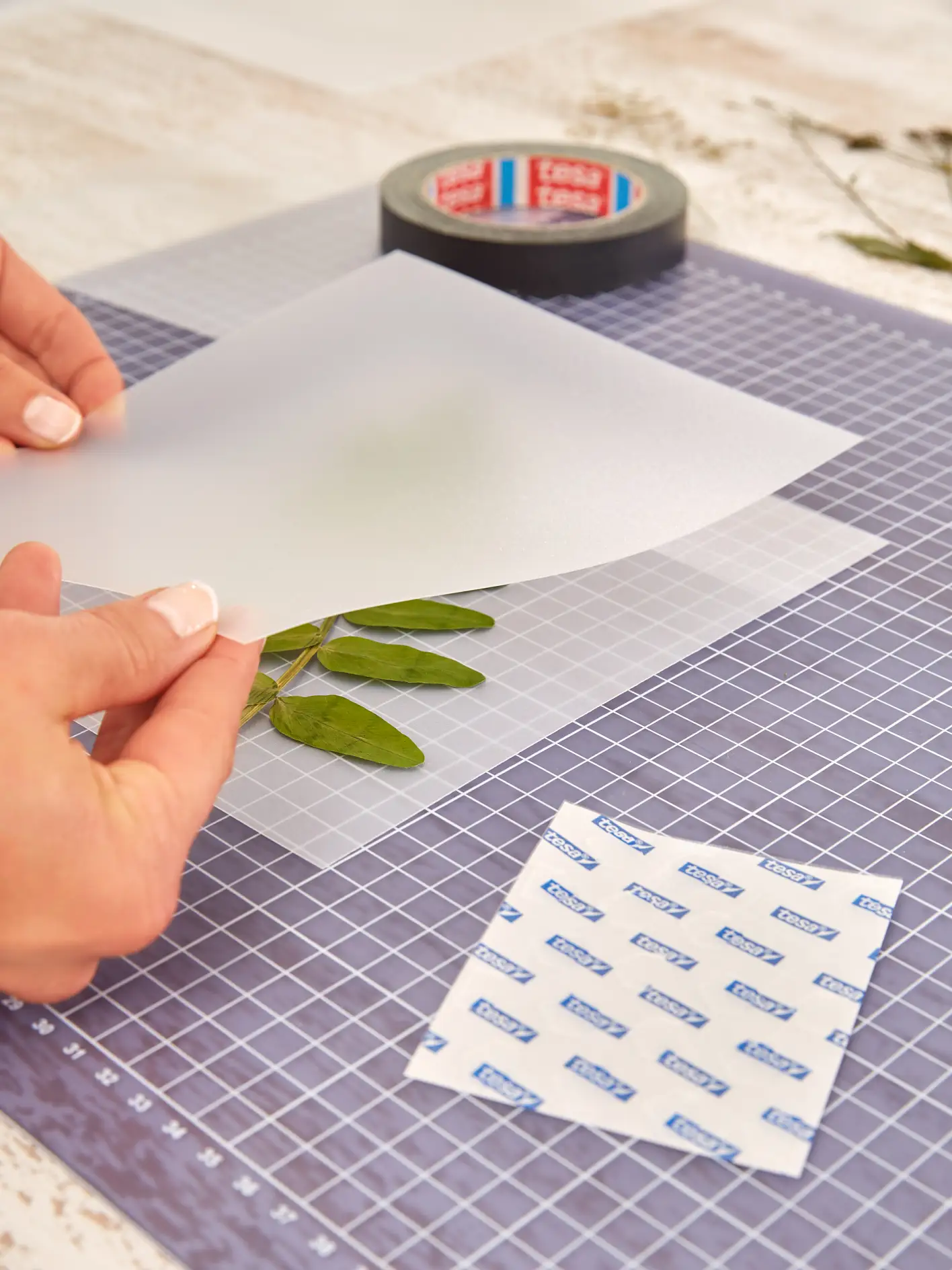 Placing clear sheets over the pressed leaves