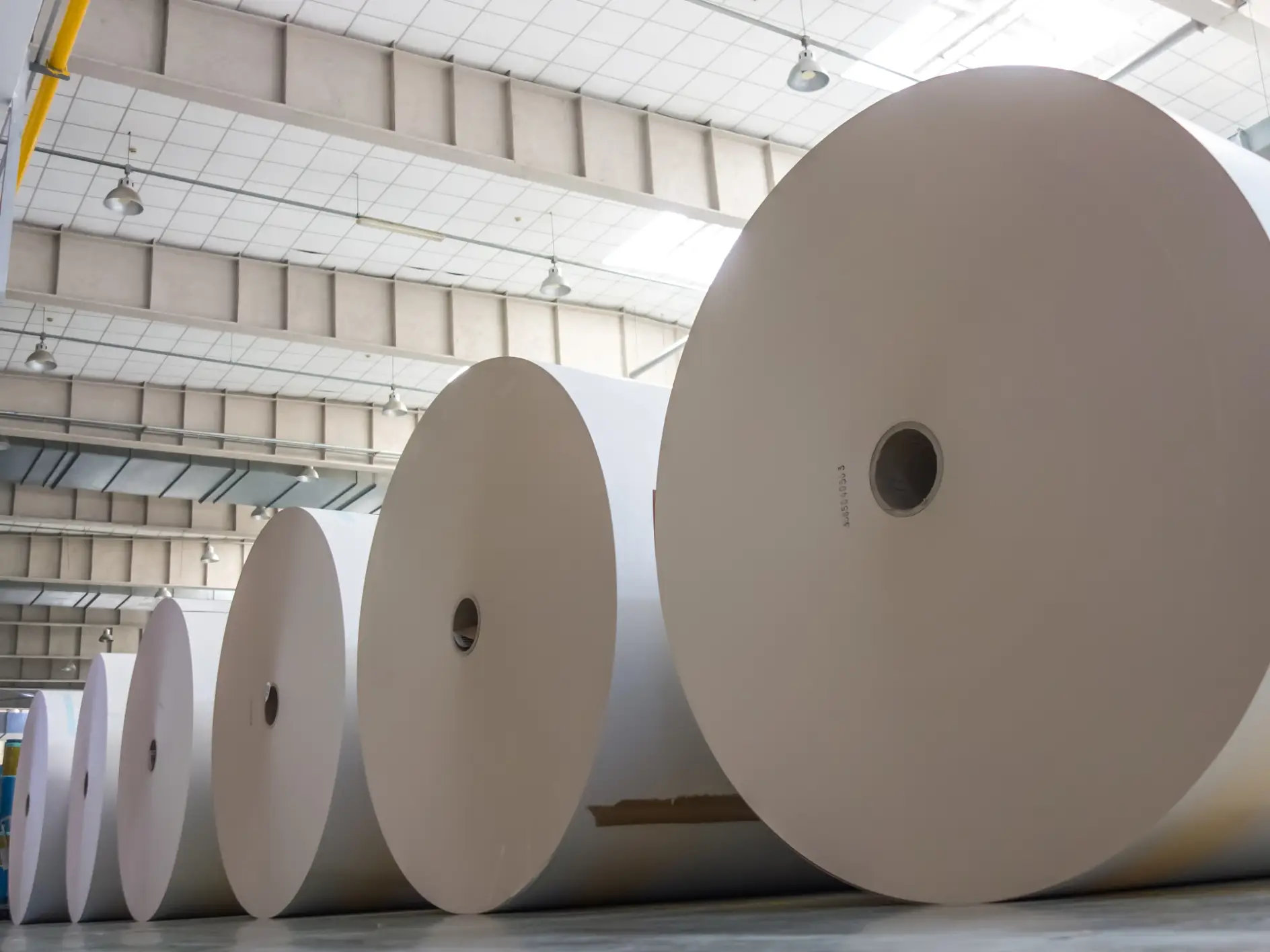 tesa® Process Tapes for Paper Production