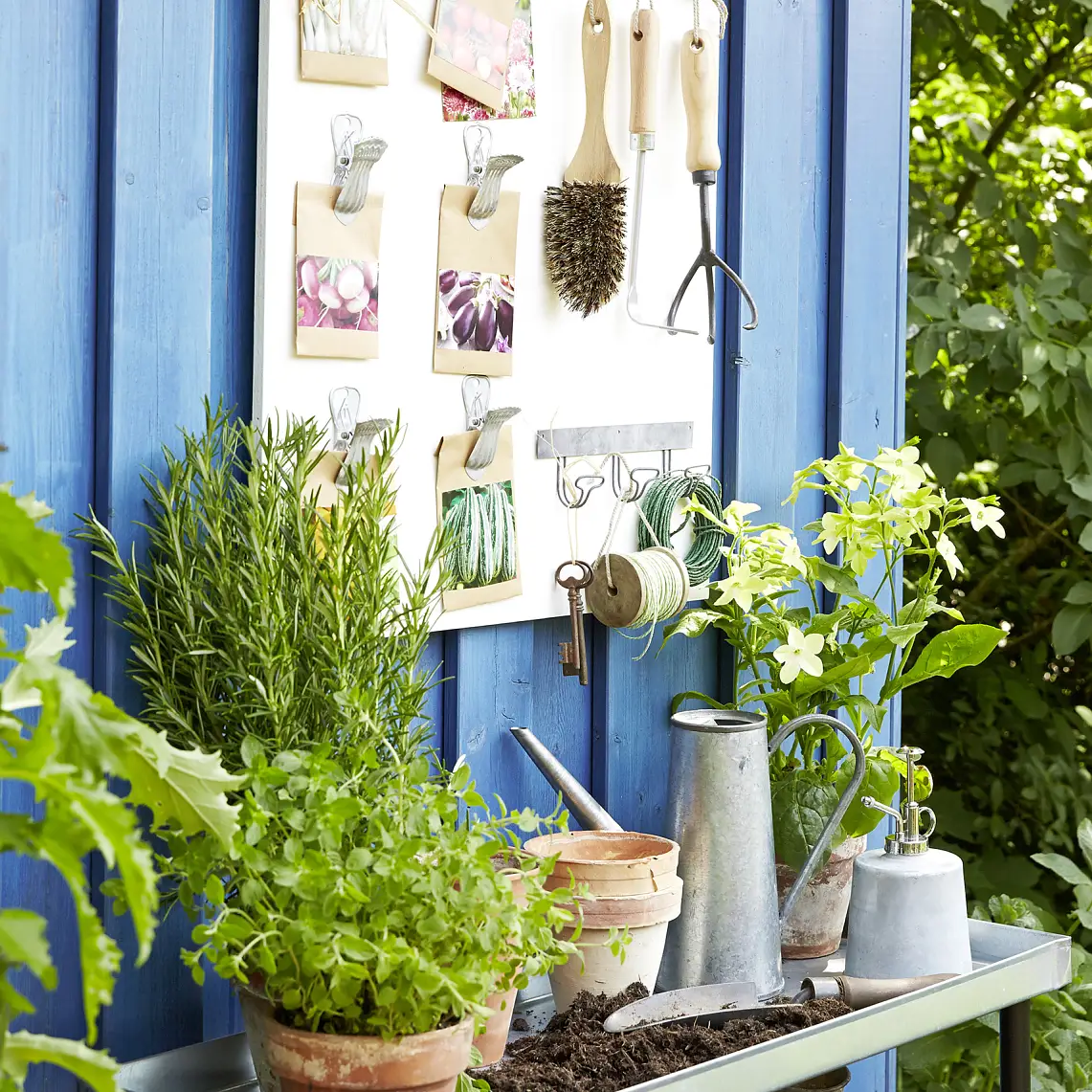 Keep your packets of seeds, and garden tools, in perfect order by arranging them on a white-varnished wooden board. Ultra strong double-sided tape can be used to fix decorative metal clasps and metal hook strips firmly in place.