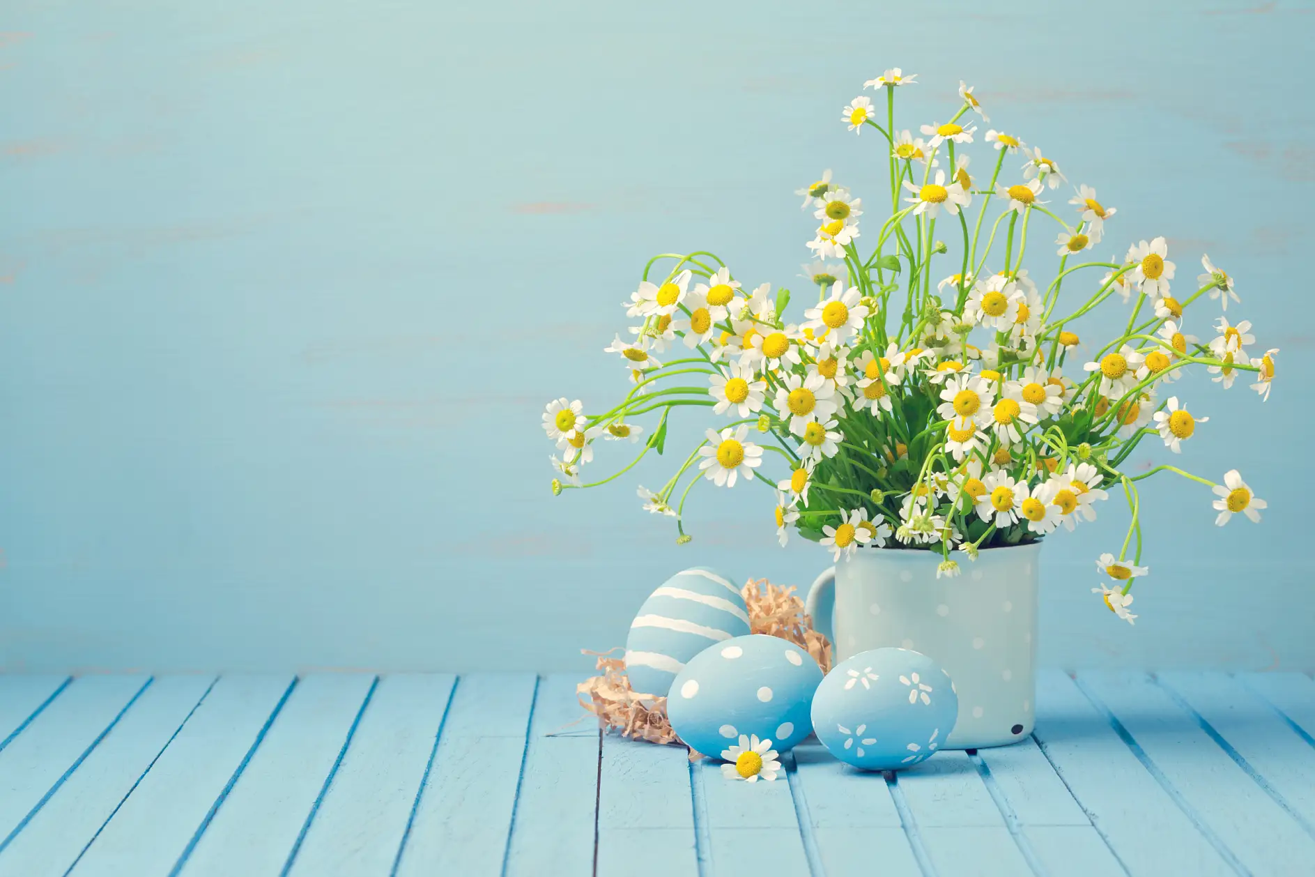 Easter holiday decoration with daisy flowers