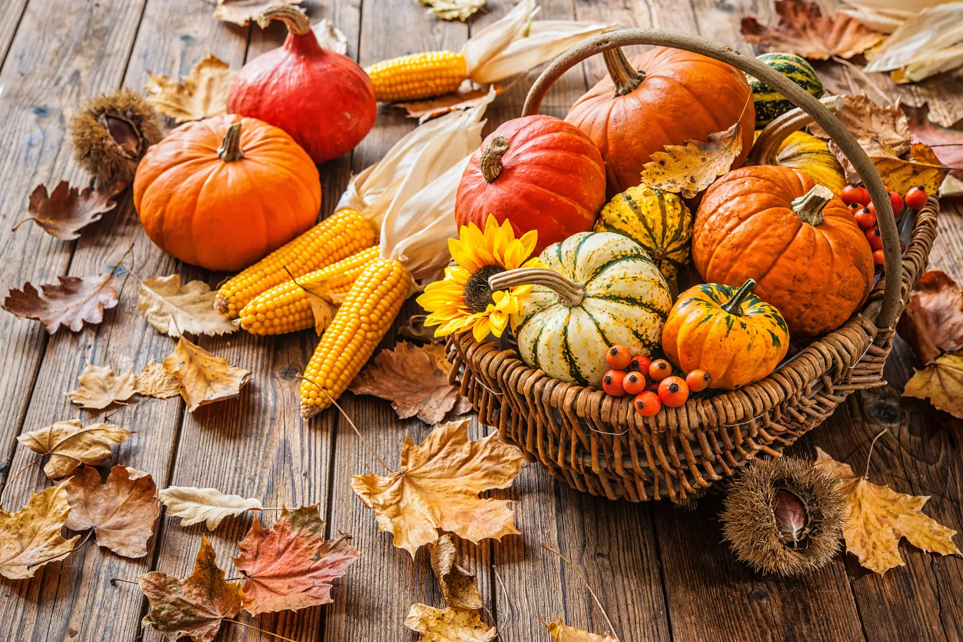 Jesienna dekoracja z dyniami, kolbami kukurydzy i liśćmi