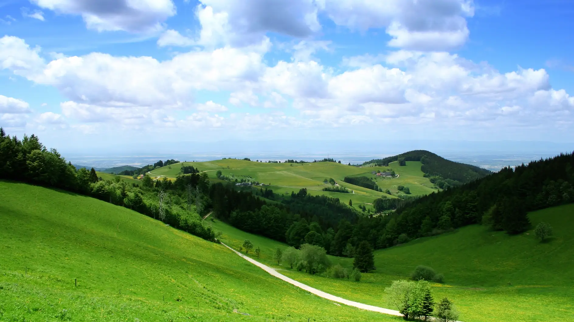 Пейзаж з зеленими пагорбами