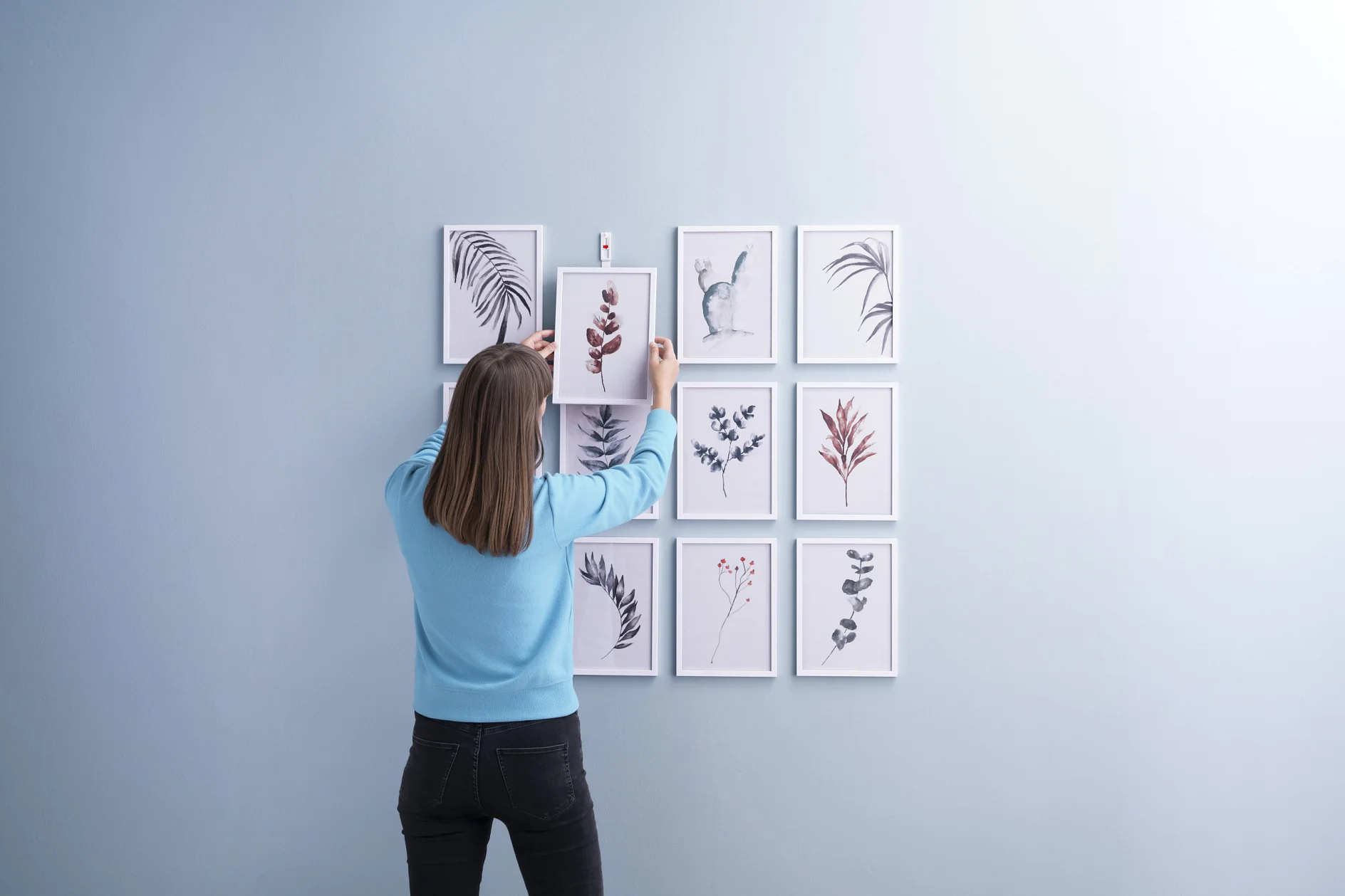En person, der bærer en blå sweater, arrangerer et gitter af indrammede botaniske print på en lyseblå væg ved hjælp af tesa-tape. Kunstværket har forskellige planteillustrationer, inklusive blade og blomster, i sort og hvid med strejf af rødt. (This text has been generated by AI)