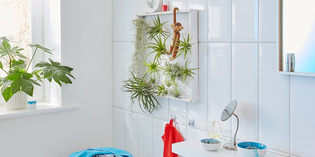 Hängegarten selber machen - tesa Hängegarten selber machen - tesa