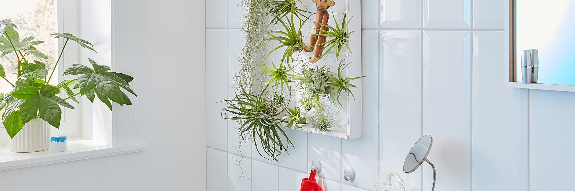 Bringt Pflanzen auf die Höhe: Diese originelle Halterung für exotische und pflegeleichte Tillandsien. Sie besteht aus einem Holztablett und Drähten, die den Pflanzen Halt geben.