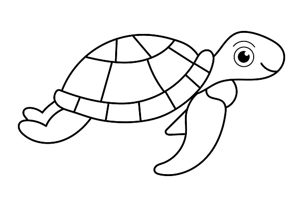 Schildkröten-Hausschuhe zum Ausmalen: Entdecke die Freude am kreativen Entspannen!