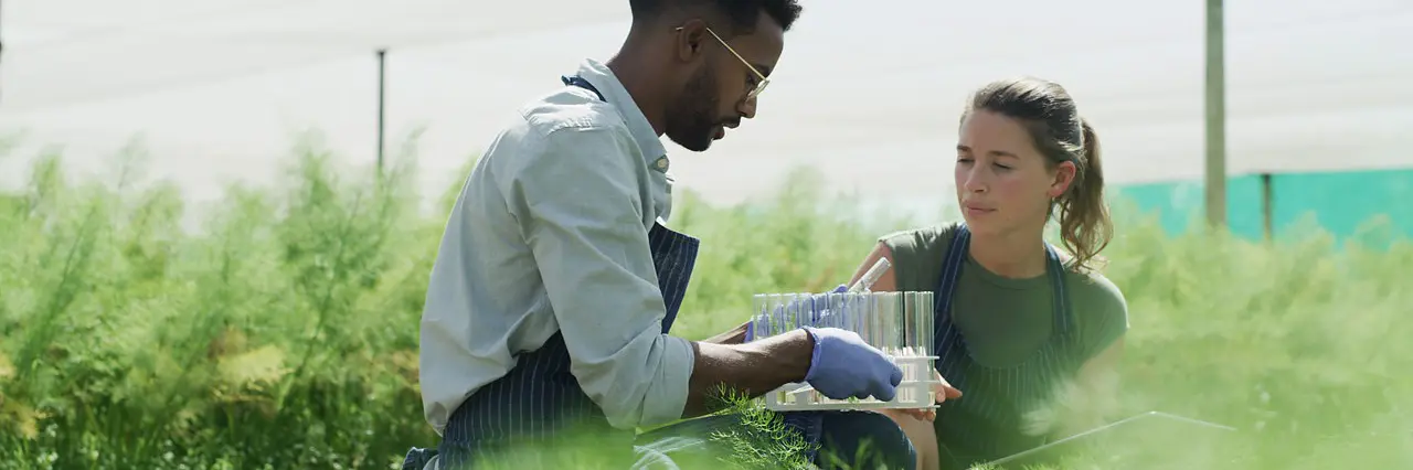 03_video_rethink materials