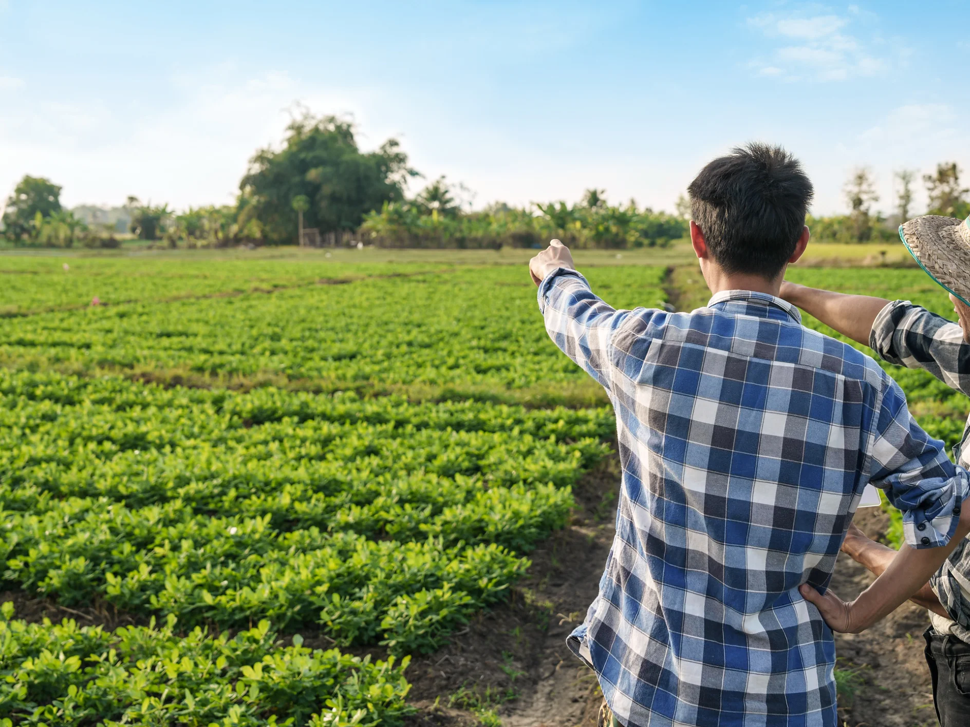 Two people stand in a lush green field, both wearing plaid shirts. One points forward while the other looks in the same direction. A blue sky and trees are visible in the background, with rolls of tesa tape resting by their feet, ready to be used for any fixing tasks ahead. (This text has been generated by AI)