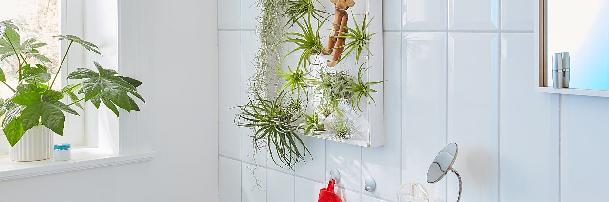 tesa trendpapier 22 / Idee 11: Hängender Garten / Aufmacher quer Bringt Pflanzen auf die Höhe: Diese originelle Halterung für exotische und pflegeleichte Tillandsien. Sie besteht aus einem Holztablett und Drähten, die den Pflanzen Halt geben.