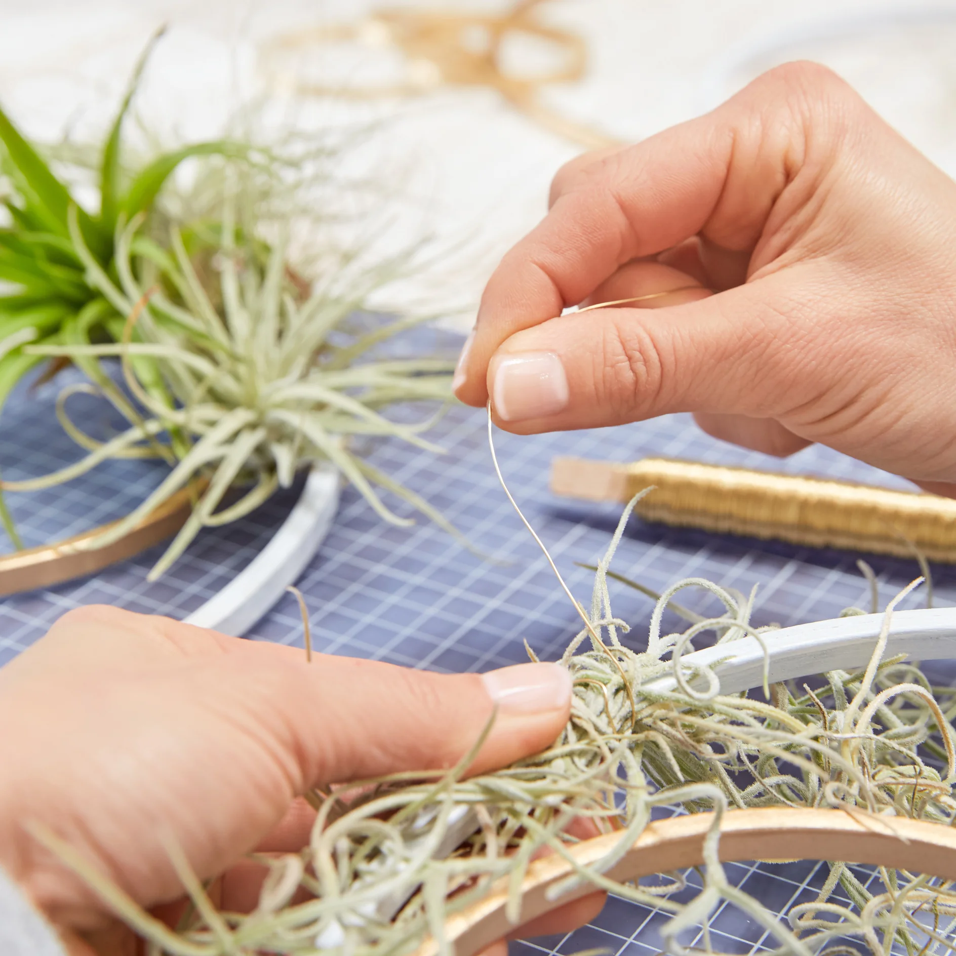 Hands are seen threading wire through a cluster of air plants. The plants are being arranged on a circular frame. A crafting mat is visible underneath, and a spool of tesa tape is in the background. (This text has been generated by AI)