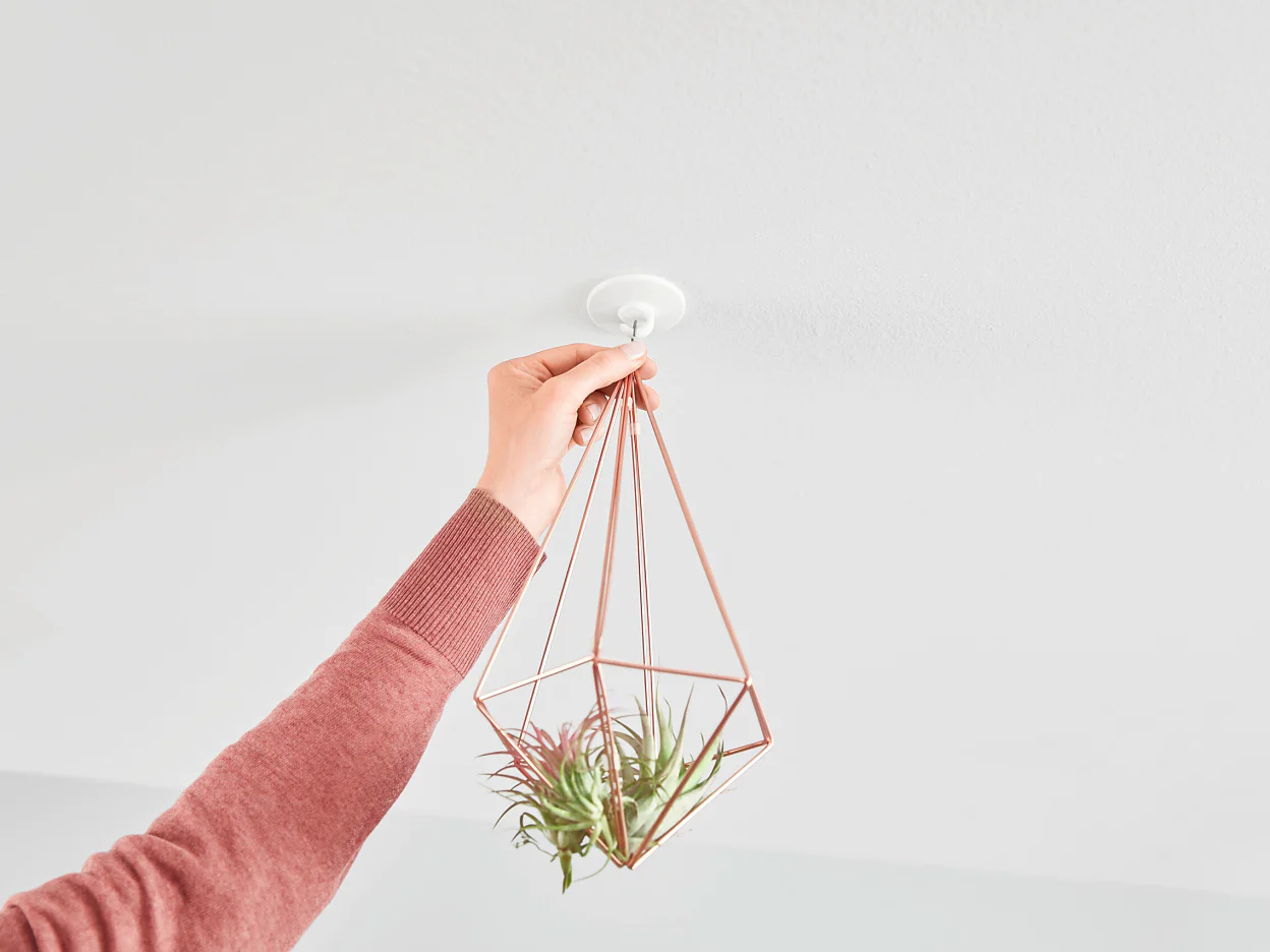 [en-en] tesa SMS ceiling hook up to 0.5kg, step 6 of 7