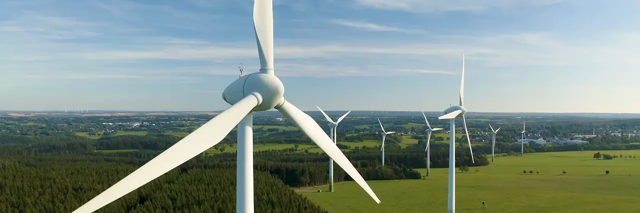 we do Sustainability