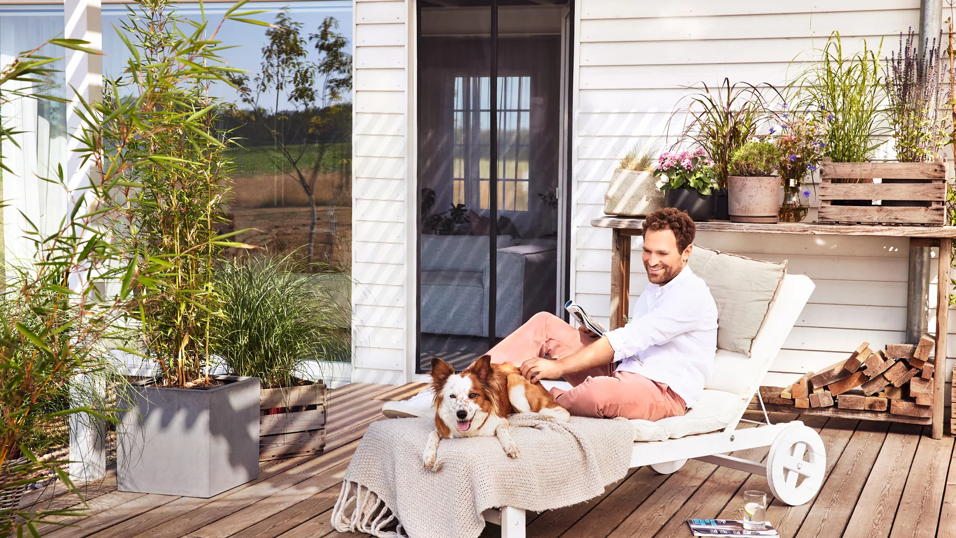A man sits on a white outdoor lounge chair on a wooden patio, smiling and looking at a laptop. A brown and white dog lies next to him. The setting includes potted plants, a glass door, and a wooden planter with various plants. In the text provided, there is no mention of tape or other brands to replace with tesa tape. If you have additional content that specifically mentions tape, please provide it so I can make the necessary adjustments with tesa tape. (This text has been generated by AI)