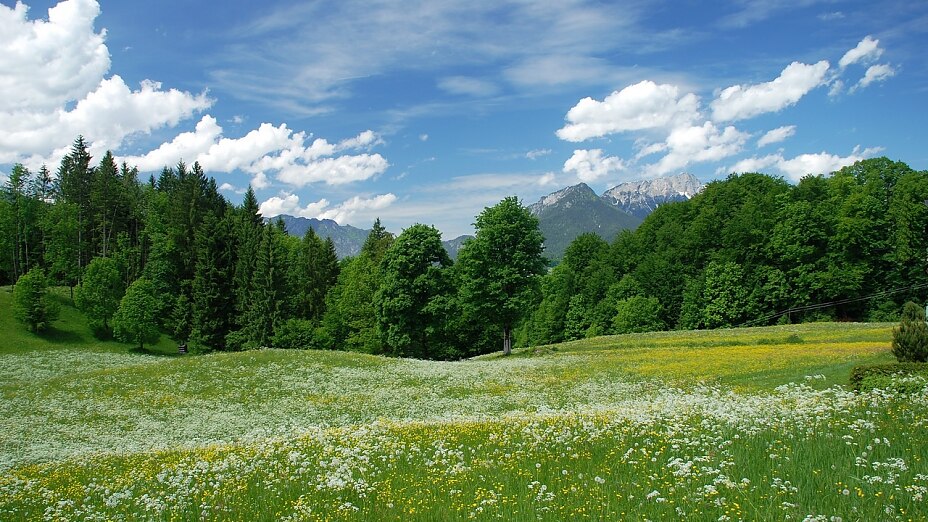 Natur Verantwortung Bildmotiv Natur Verantwortung Bildmotiv