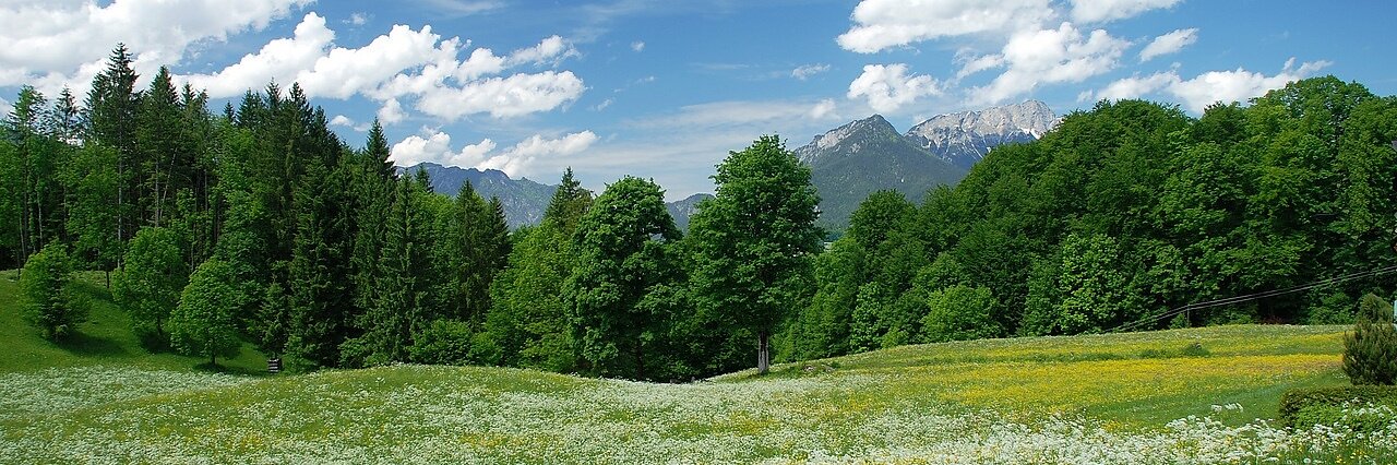 Natur Verantwortung Bildmotiv