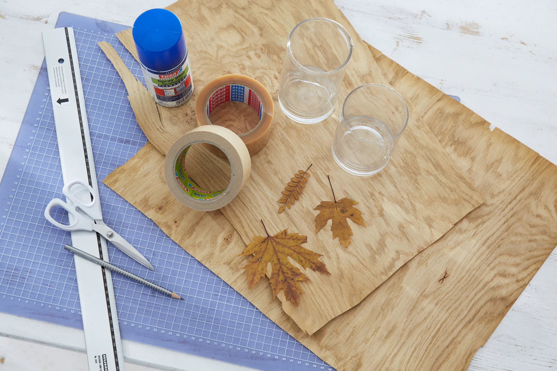 Das brauchen wir: gepresste Blätter, Holzfurnier (hier Eiche, beim Tischler besorgt), gerade Glaswindlichter, Schere, Bleistift, Lineal, tesapack® Perfect & Strong, tesa® Doppelseitiges Klebeband ECO FIXATION, tesa® Sprühkleber PERMANENT