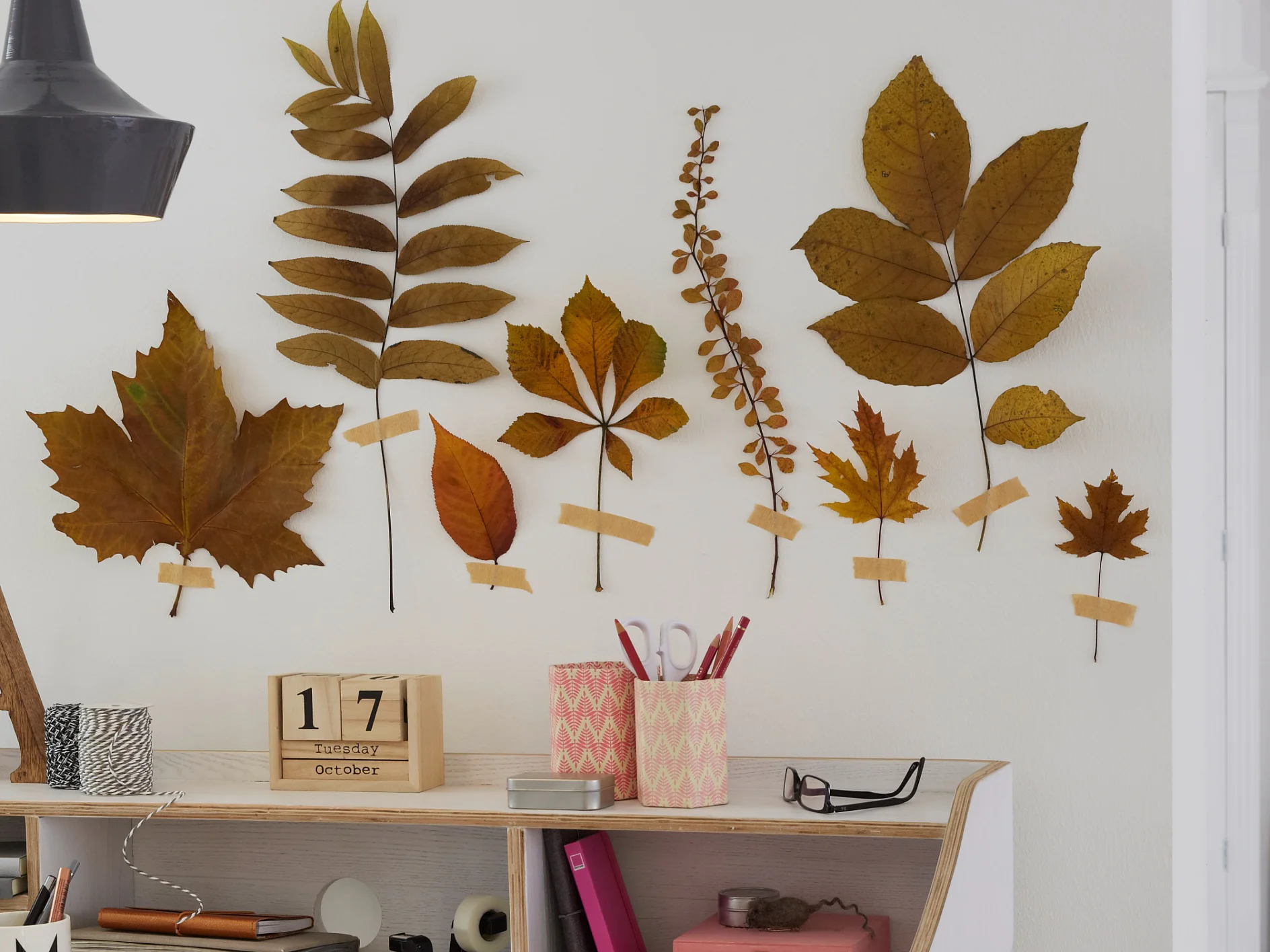 Halt! Bevor Sie Laub im Kompost entsorgen, noch schnell die besten Blätter raussuchen, zwischen dicken Büchern trocknen und dekorativ an die Wand kleben.