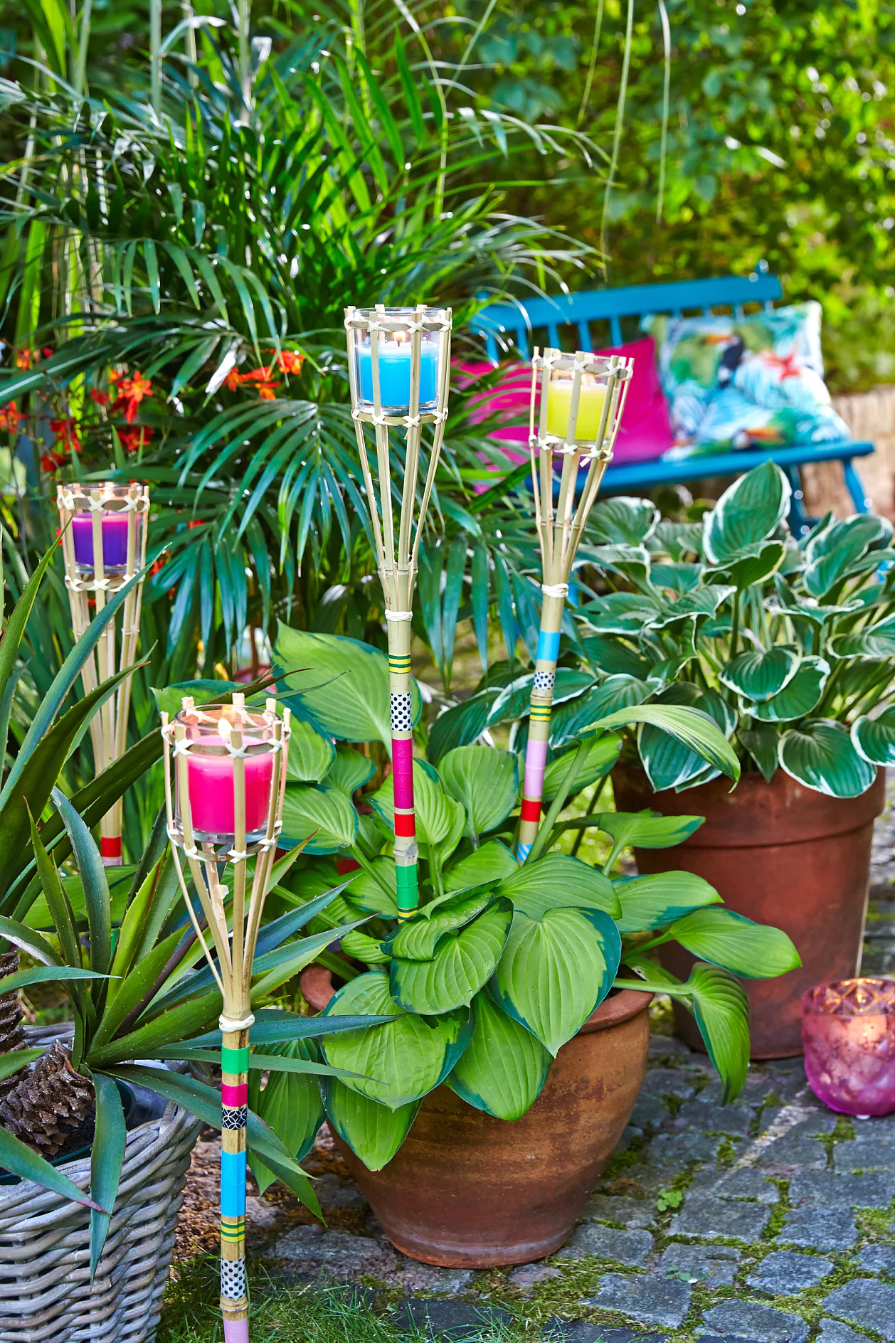 Mit diesen Fackeln kommt südamerikanische Farbenfreude in den heimischen Garten.