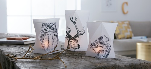 Nachts sind nicht nur alle Katzen grau. Auch die Bewohner des Waldes verlieren die Farbe und zeigen sich in Schwarz. Aber Kerzen in den gefalteten Papier-Windlichtern bringen die Tiere zum Leuchten.