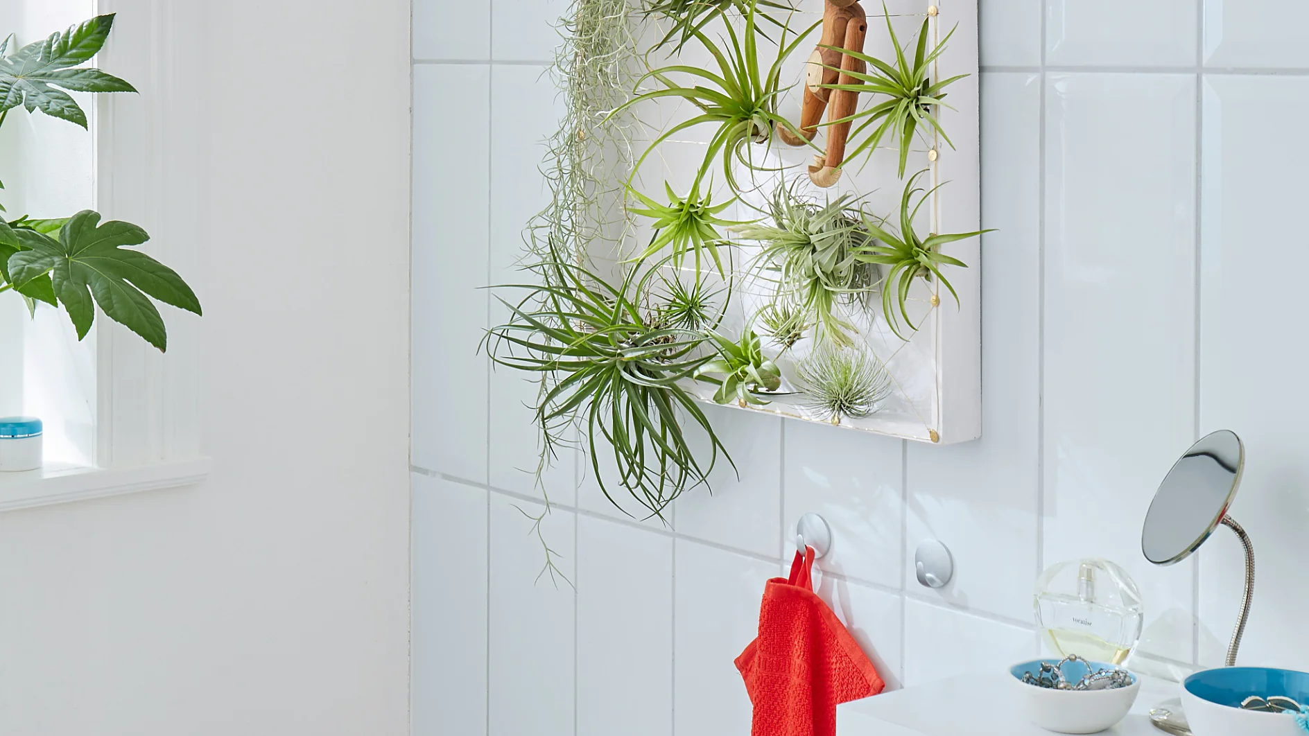 Bringt Pflanzen auf die Höhe: Diese originelle Halterung für exotische und pflegeleichte Tillandsien. Sie besteht aus einem Holztablett und Drähten, die den Pflanzen Halt geben.