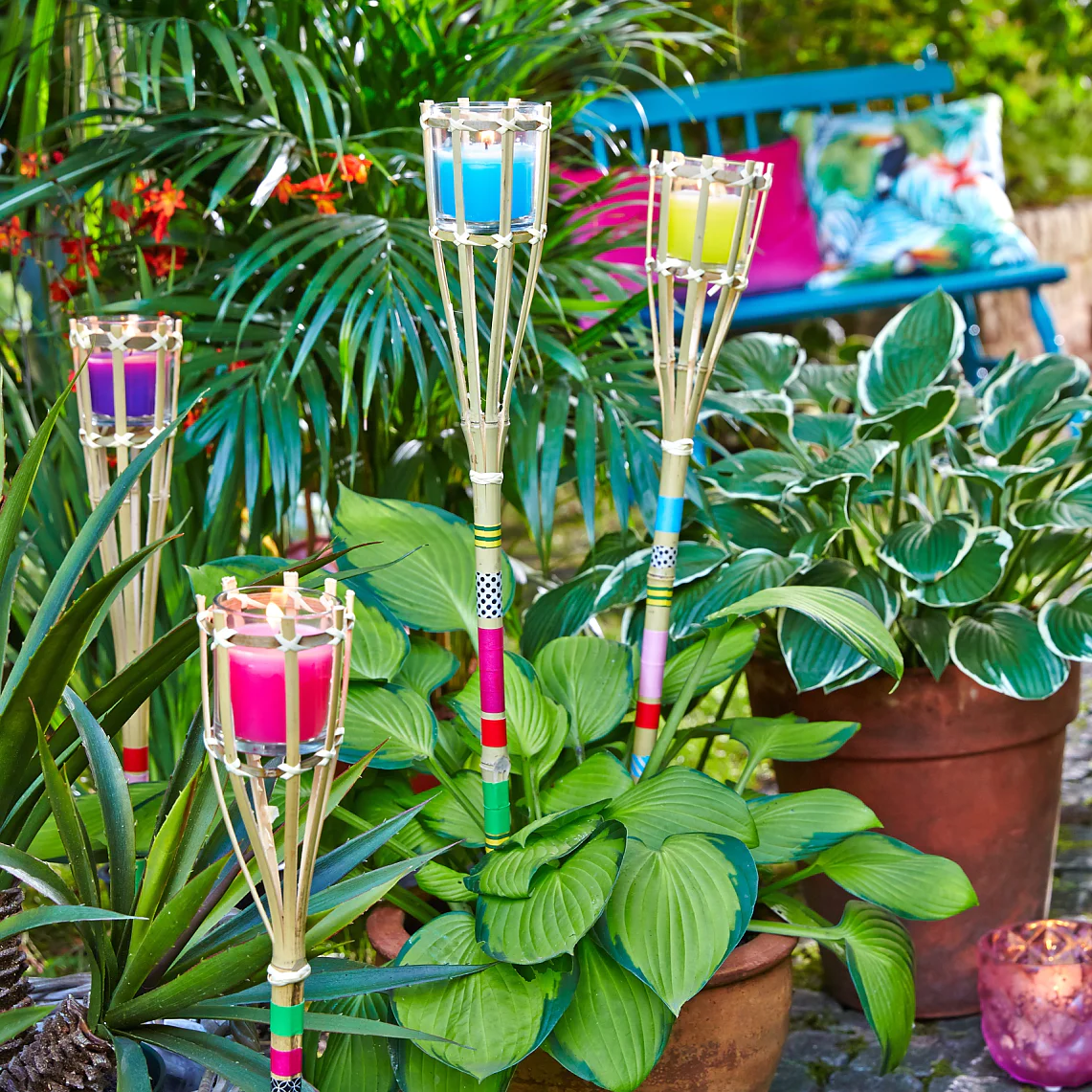 Mit diesen Fackeln kommt südamerikanische Farbenfreude in den heimischen Garten.