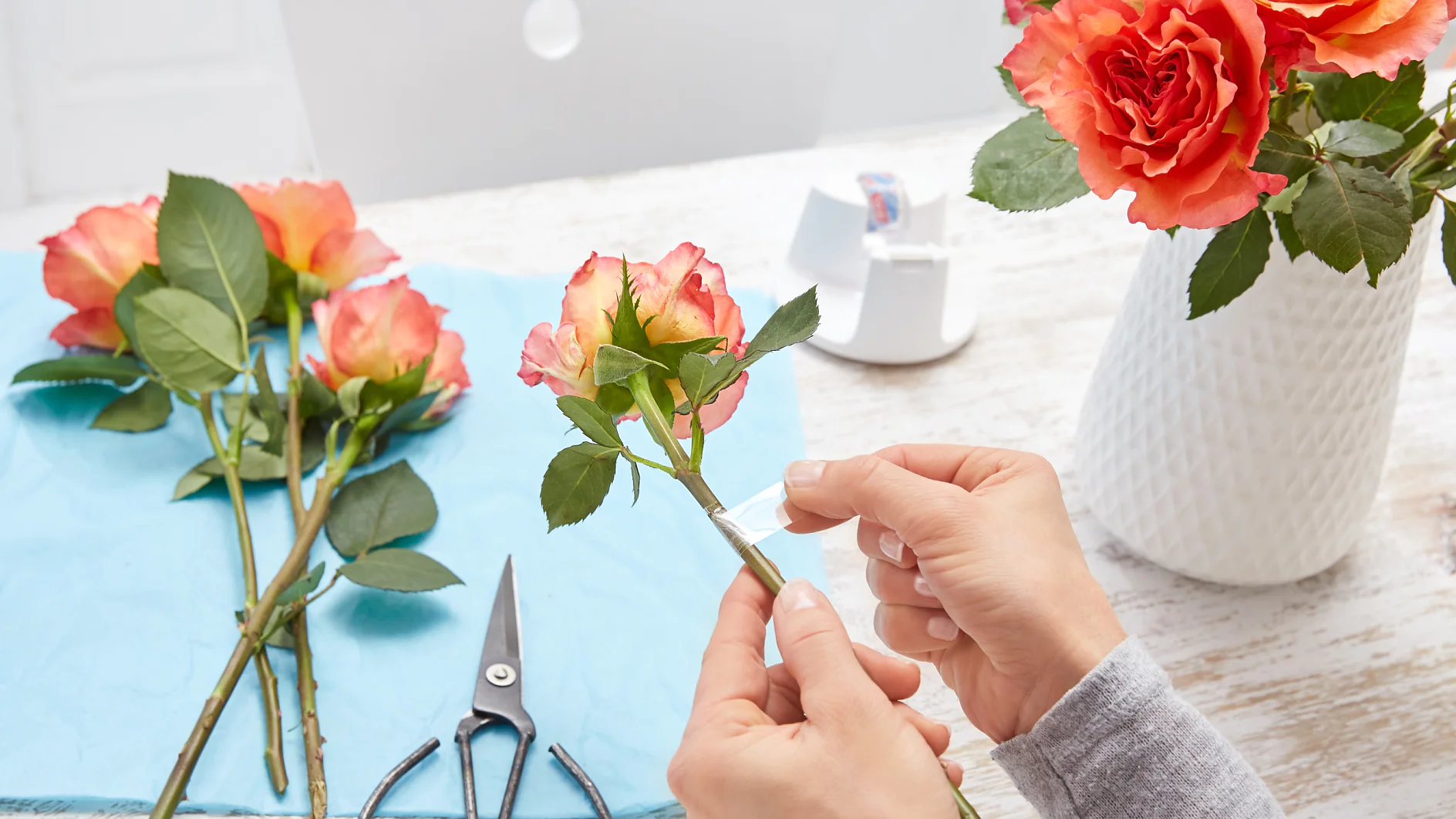 Eine Person schneidet mit einer Schere den Stiel einer rosa-orangefarbenen Rose auf einem Holztisch. Daneben liegen weitere Rosen, eine Rolle Tesaband und ein Blumenstrauß in einer weißen Vase. Unter den Blumen ist ein blaues Tuch ausgebreitet.