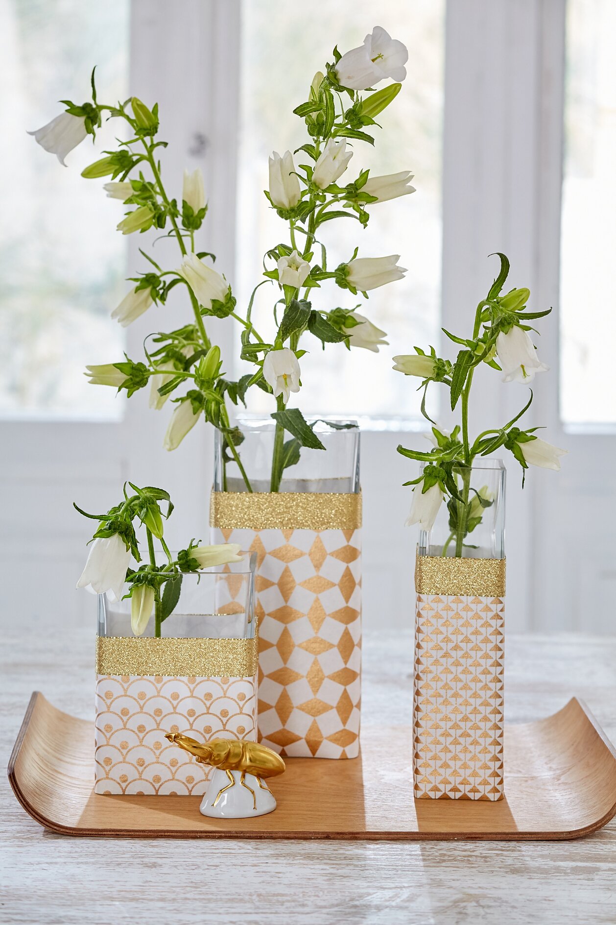 jasmin blume zimmerpflanze Jasminum polyanthum main image 1
