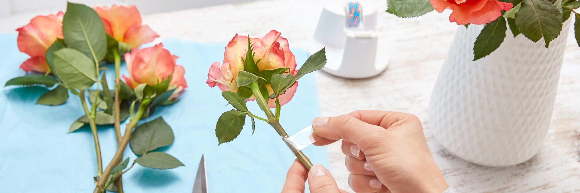 Oops, da ist es passiert: Man macht Rosen für die Vase fertig, passt einmal nicht auf – und schon ist ein Stiel abgeknickt! Kein Problem: Einfach zum tesafilm® greifen, ein Stück abreißen und die Stelle damit umwickeln, sodass sie geschient ist. Das funktioniert übrigens auch bei Sonnenblumen sehr gut!