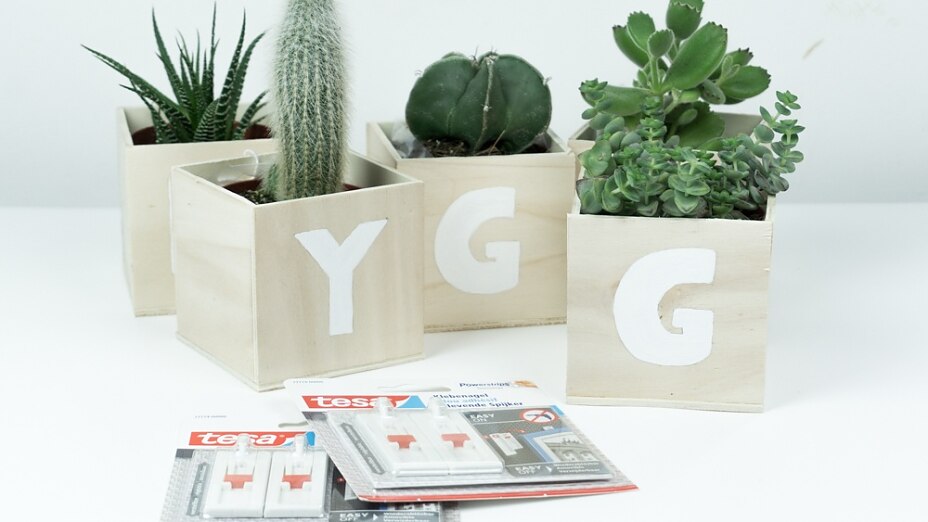 Hygge: Sukkulenten Wanddeko Für ein hyggeliges Zuhause: Sukkulenten Wanddeko mit den Klebenagel aufhängen