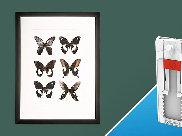 Schmetterlingsbilder