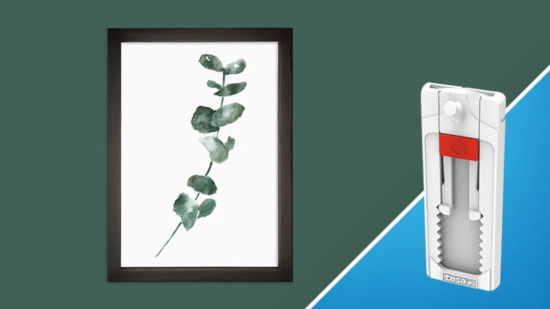 Ein minimalistischer gerahmter botanischer Druck mit grünen Blättern auf der linken Seite. Auf der rechten Seite ist ein weißer selbstklebender Wandhaken mit einer roten Lasche auf blauem Hintergrund zu sehen, der mit Tesa-Klebeband befestigt ist. Das Bild ist diagonal geteilt und zeigt beide Artikel nebeneinander. (This text has been generated by AI)