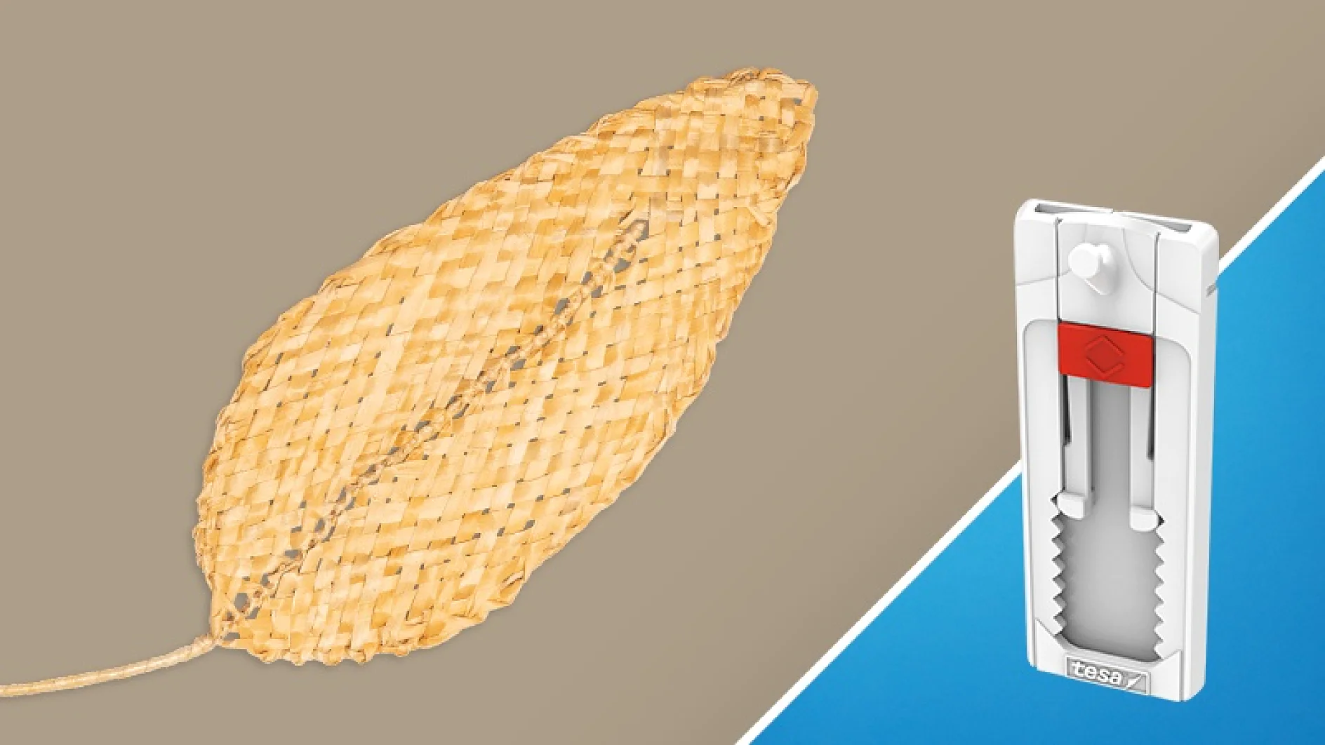 Bananenblatt