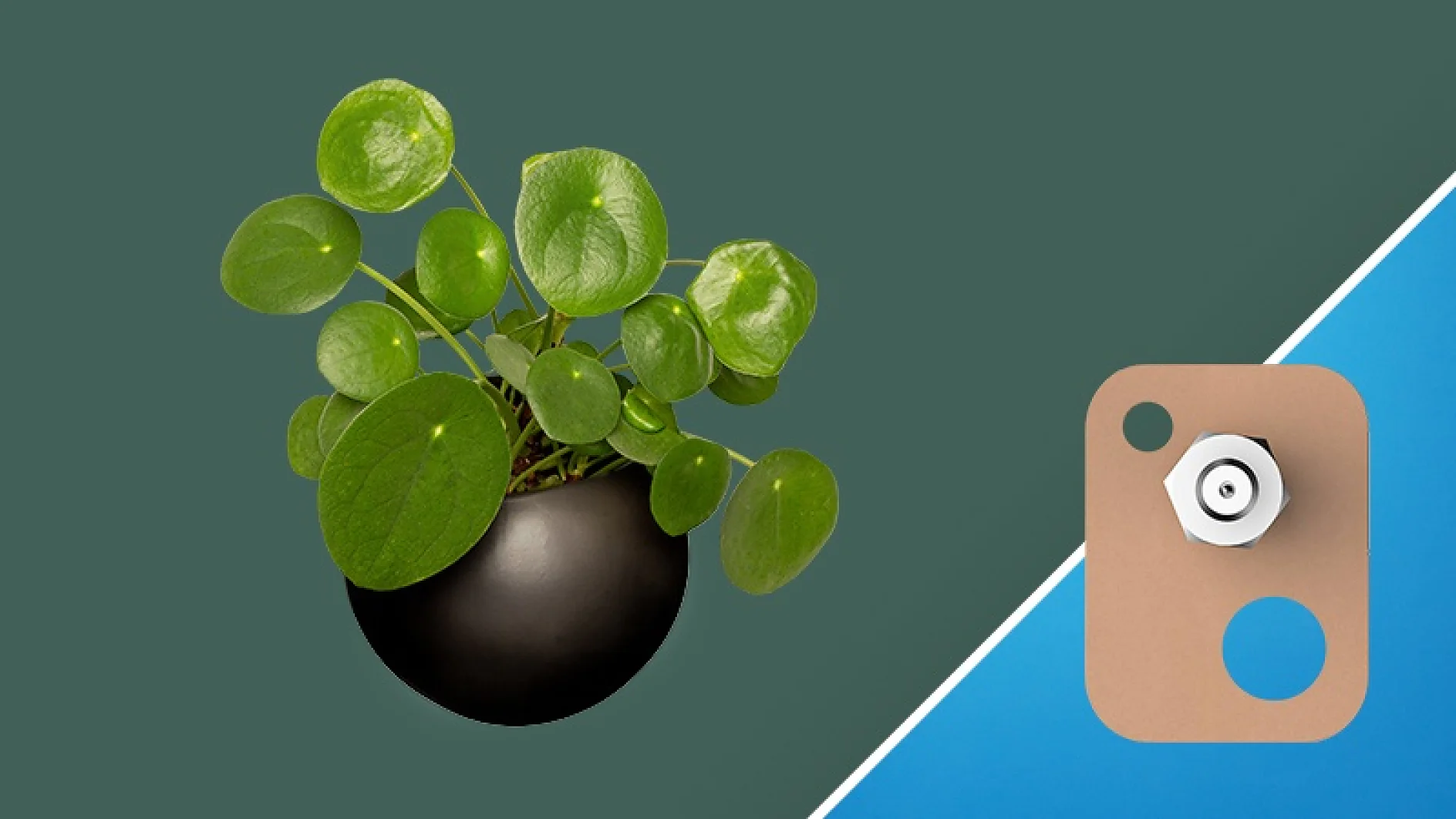 Links ist ein runder, schwarzer Übertopf mit einer Pilea-Pflanze mit kreisrunden grünen Blättern zu sehen. Rechts ist eine hellbraune Halterung mit kreisrundem Loch und kleiner Befestigung zu sehen. Außerdem ist eine Rolle Tesaband zu sehen. Der Hintergrund ist diagonal zwischen Dunkelgrün und Blau geteilt. (This text has been generated by AI)
