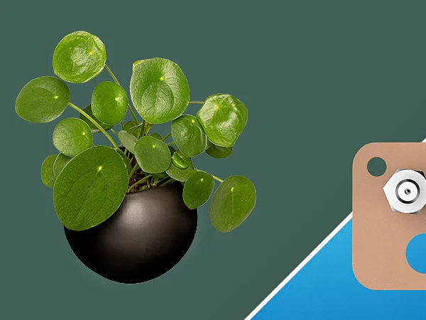 Links ist ein runder, schwarzer Übertopf mit einer Pilea-Pflanze mit kreisrunden grünen Blättern zu sehen. Rechts ist eine hellbraune Halterung mit kreisrundem Loch und kleiner Befestigung zu sehen. Außerdem ist eine Rolle Tesaband zu sehen. Der Hintergrund ist diagonal zwischen Dunkelgrün und Blau geteilt. (This text has been generated by AI)
