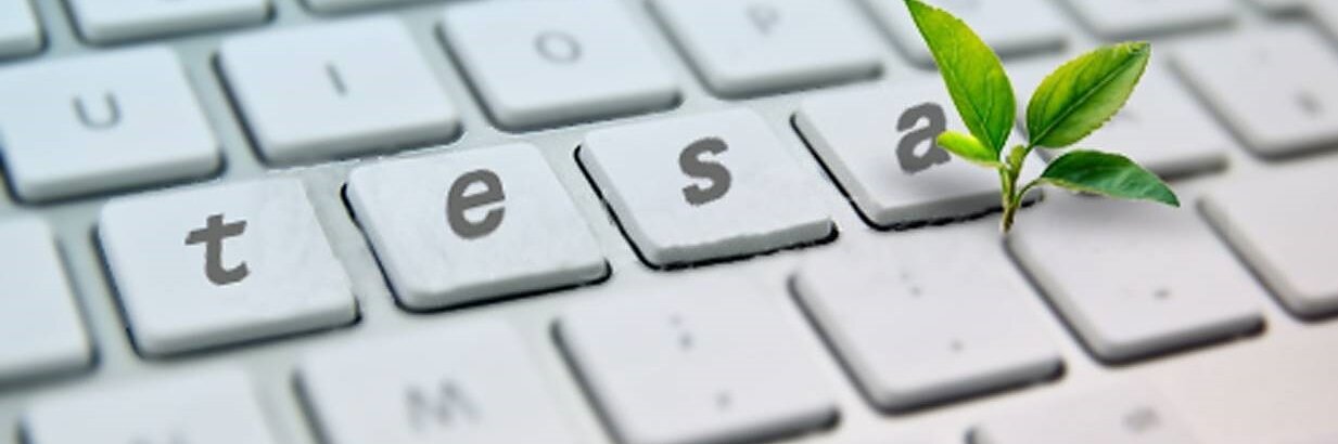 Zwischen den Tasten einer weißen Tastatur wächst ein grüner Pflanzenspross. Die sichtbaren Tasten sind „T“, „E“, „S“ und zwei „A“-Tasten, die so angeordnet sind, dass sie „Tesa“ ergeben. Die Blätter der Pflanze sind hellgrün und bilden einen Kontrast zur Tastatur. (This text has been generated by AI)