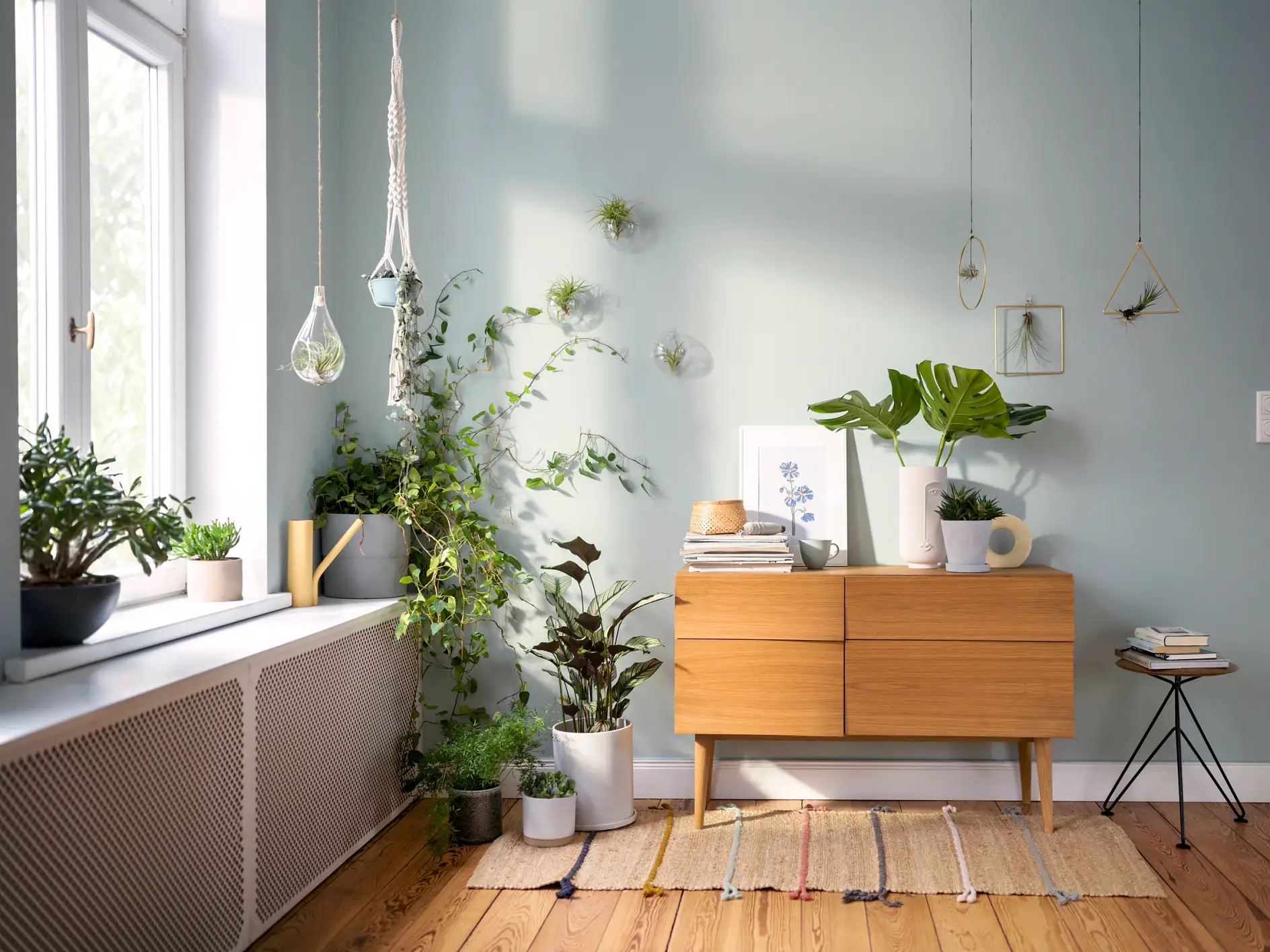 Pflanzen-Deko – Teaser: Kommode steht in Zimmer, darauf und seitlich sind Pflanzenvasen.
