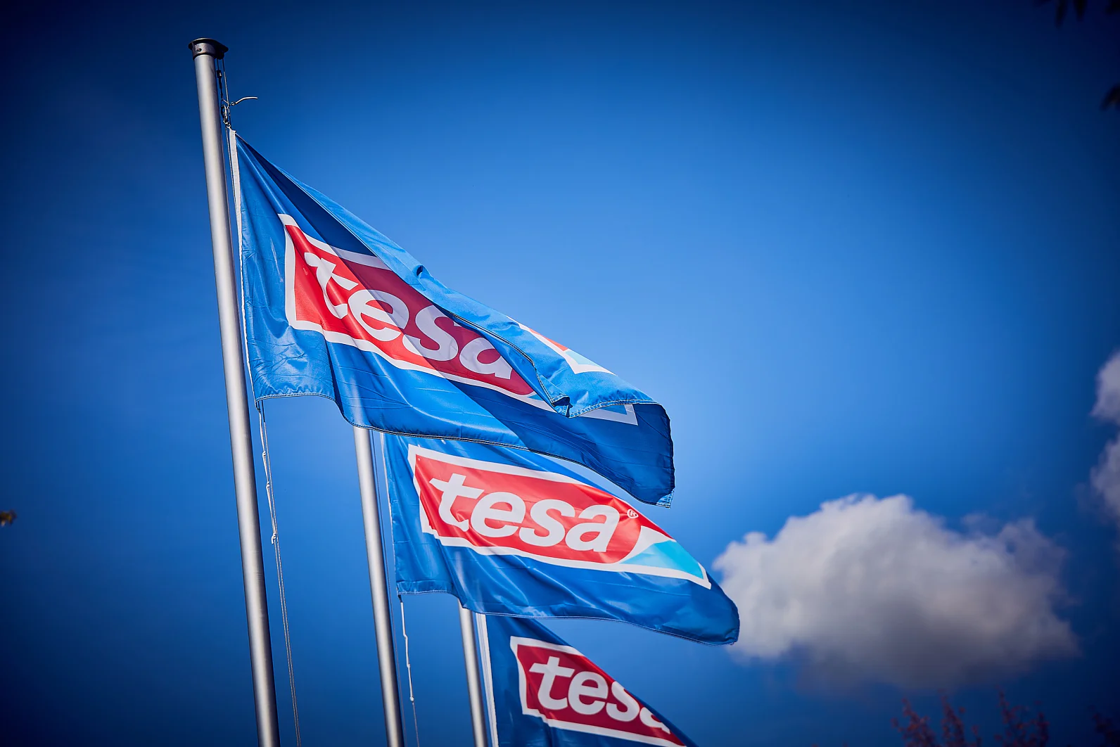 Vier blaue Flaggen mit dem Wort „tesa“ in Weiß in einem roten Oval wehen an Fahnenmasten vor einem klaren blauen Himmel mit einigen Wolken. (This text has been generated by AI)