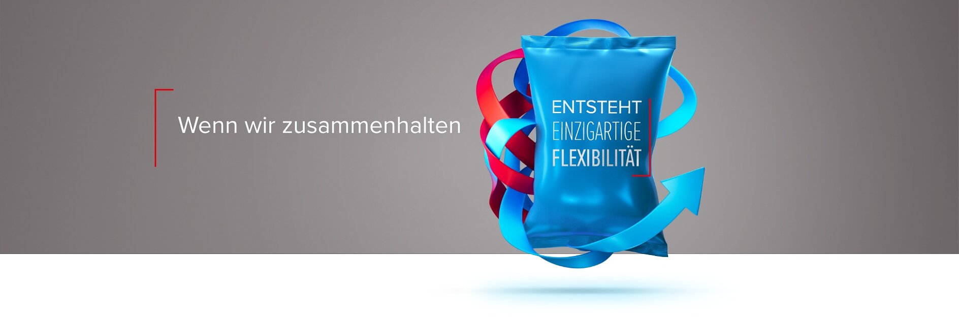 Tesa_Image_Guider_1948x650_German4_Flexibility_grey
