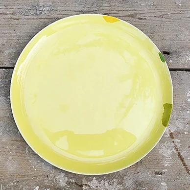 jane_chipped_plate_repair
