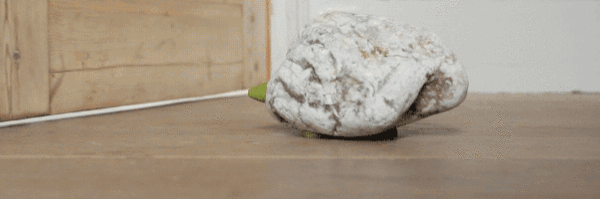 GIF_1