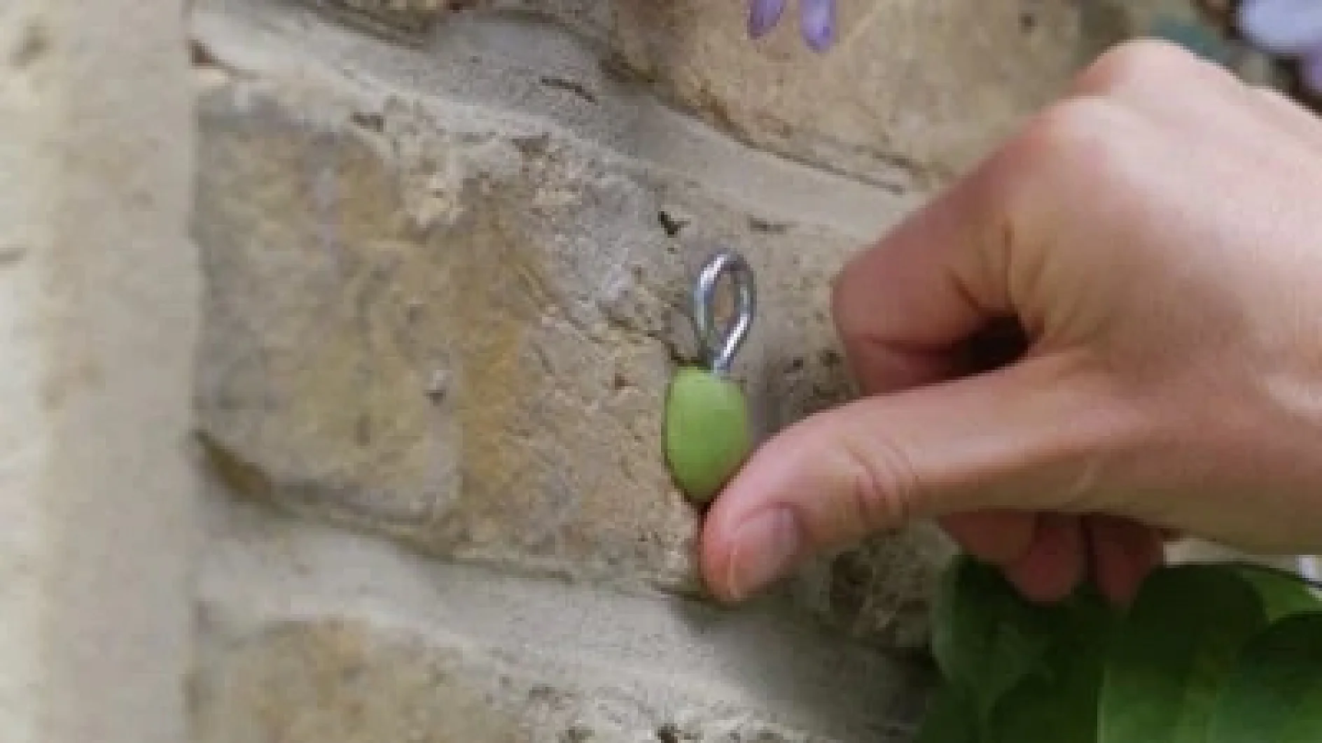 six9_400_sugru_garden_5