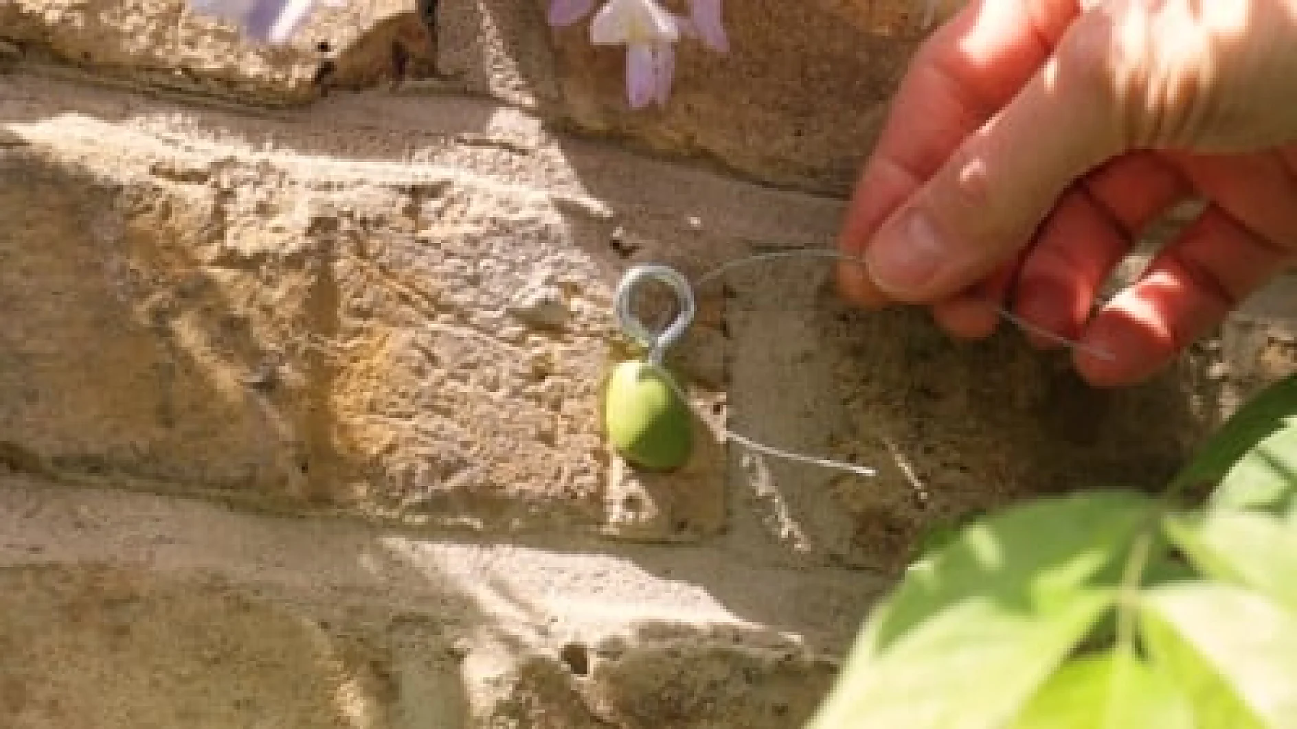 six9_400_sugru_garden_8