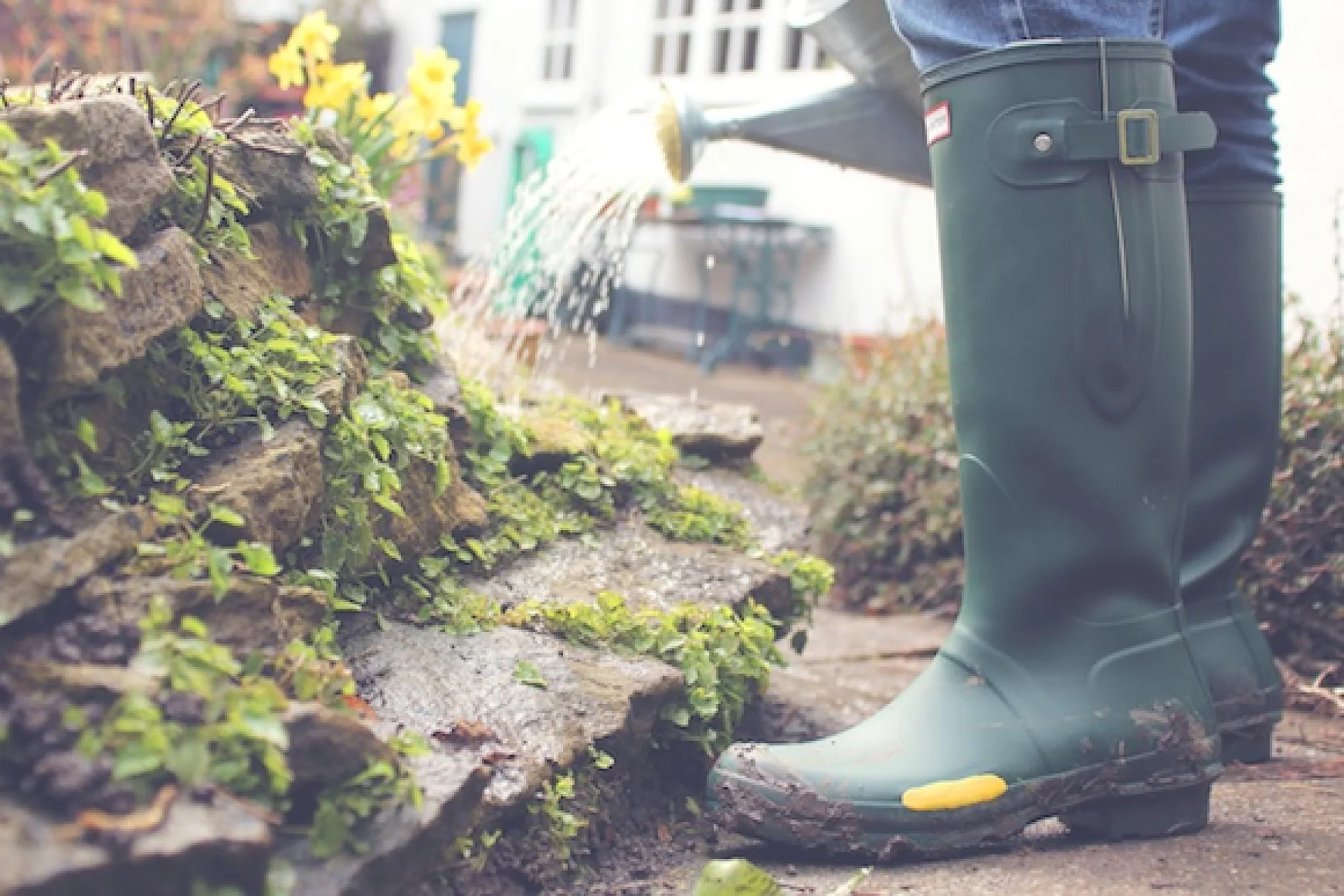 wellies_copy_blue_580
