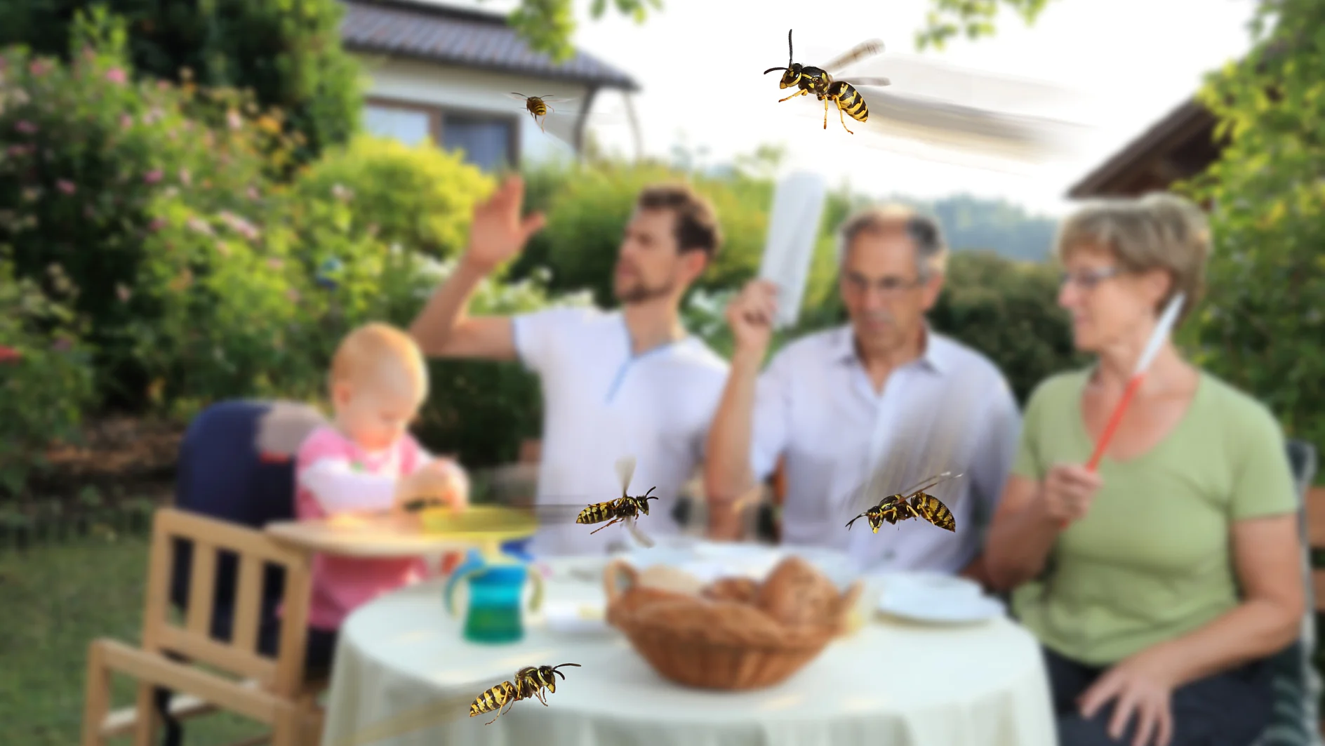 Family sitting at an outdoor table with food, surrounded by wasps. An adult male is waving his hand to ward them off, while another holds a fly swatter. A child and an older woman are seated nearby. Vegetation and a house are in the background. (This text has been generated by AI)