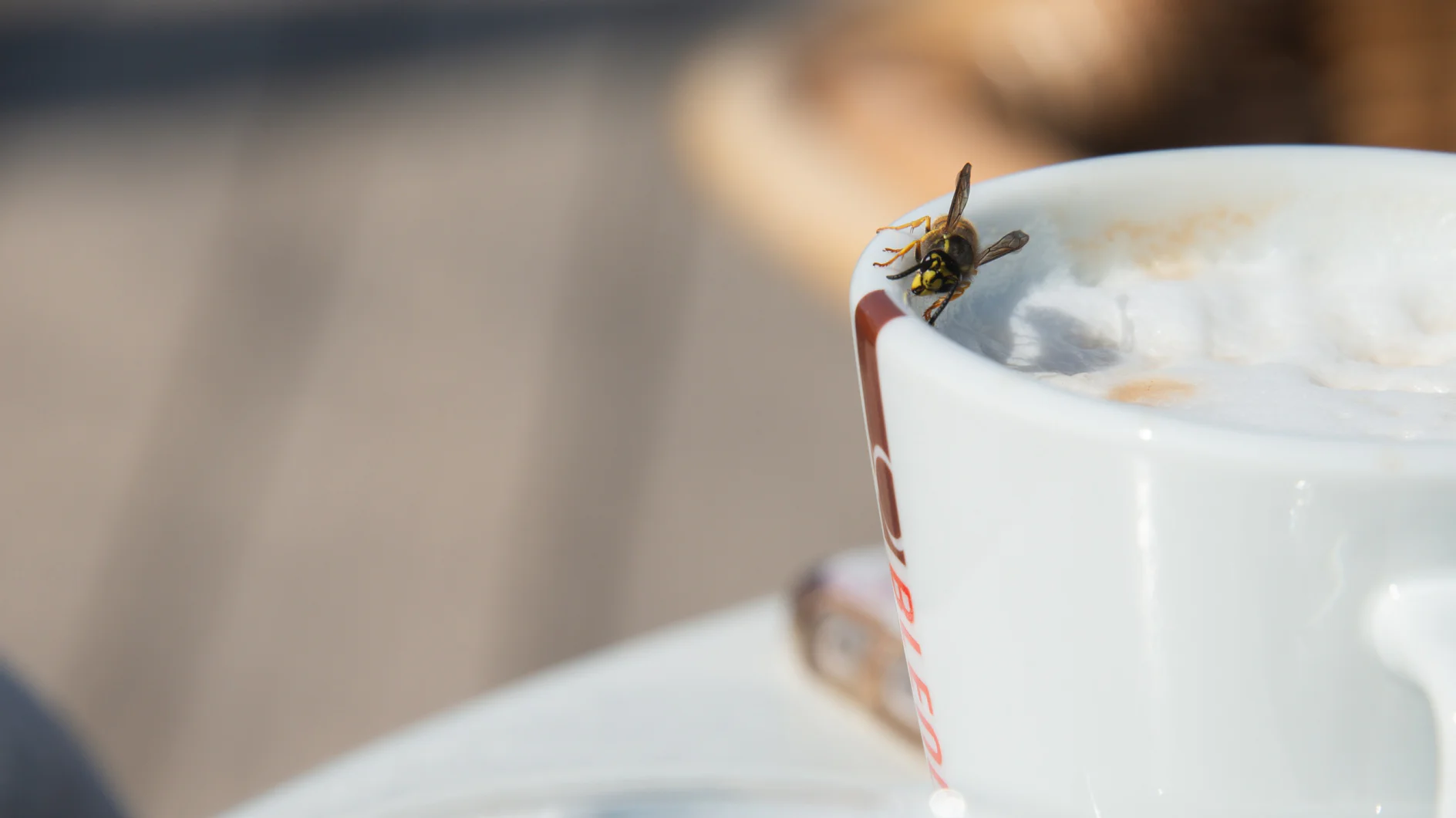 A close-up of a white coffee cup filled with frothy cappuccino. A wasp is perched on the edge of the cup, near the froth. The background is blurred, highlighting the wasp and cup, with tesa tape subtly securing a colorful decoration onto the side. (This text has been generated by AI)