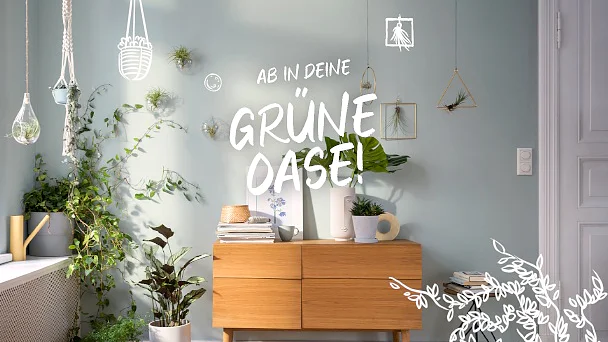 Errichte deinen eigenen kleinen Garten im Wohnzimmer