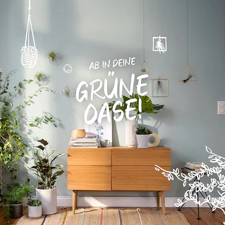 Errichte deinen eigenen kleinen Garten im Wohnzimmer